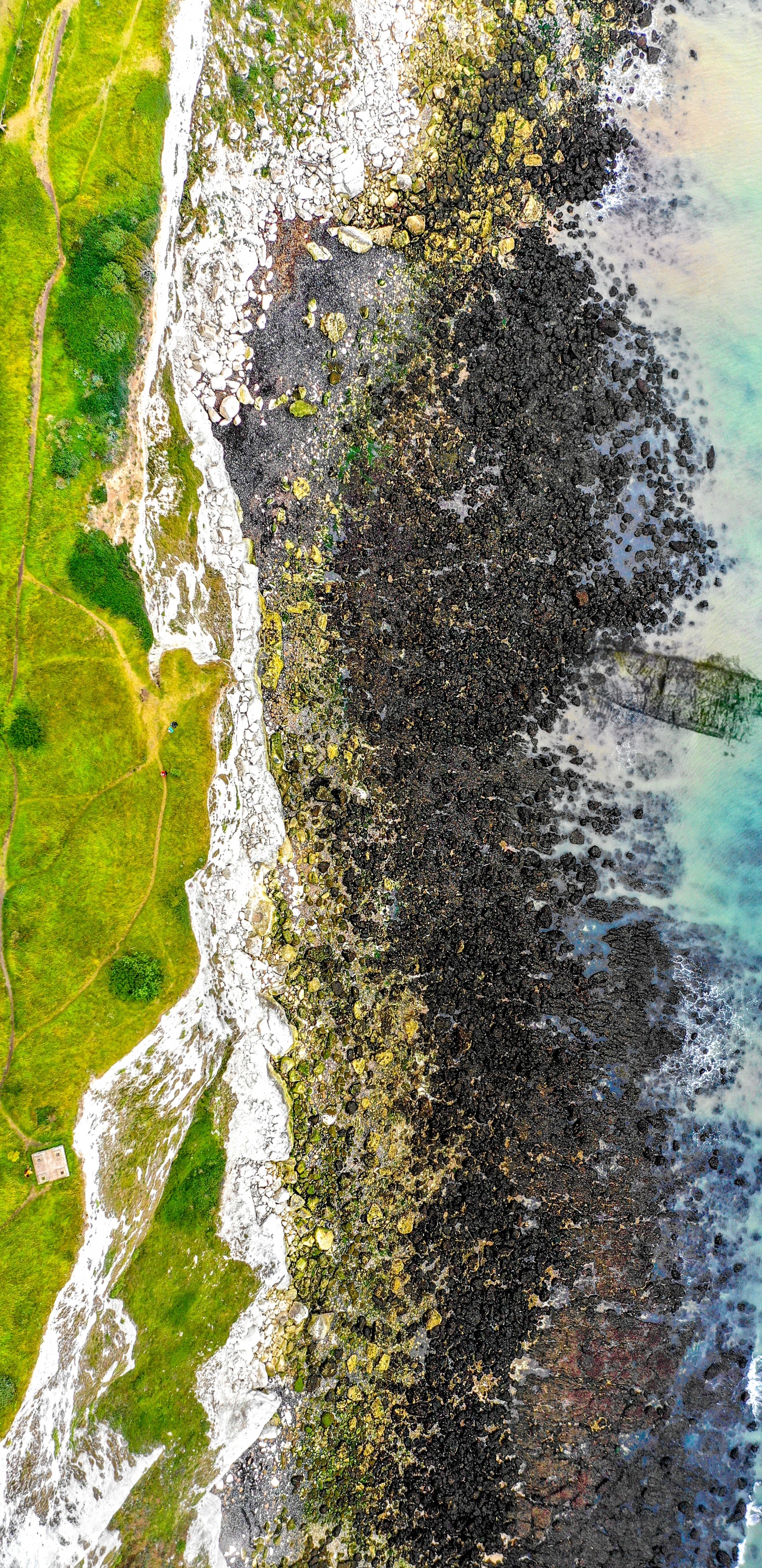 Metro, Los Recursos de Agua, Abedul de Canoa, Verde, Cañón de la Pistola. Wallpaper in 1440x2960 Resolution