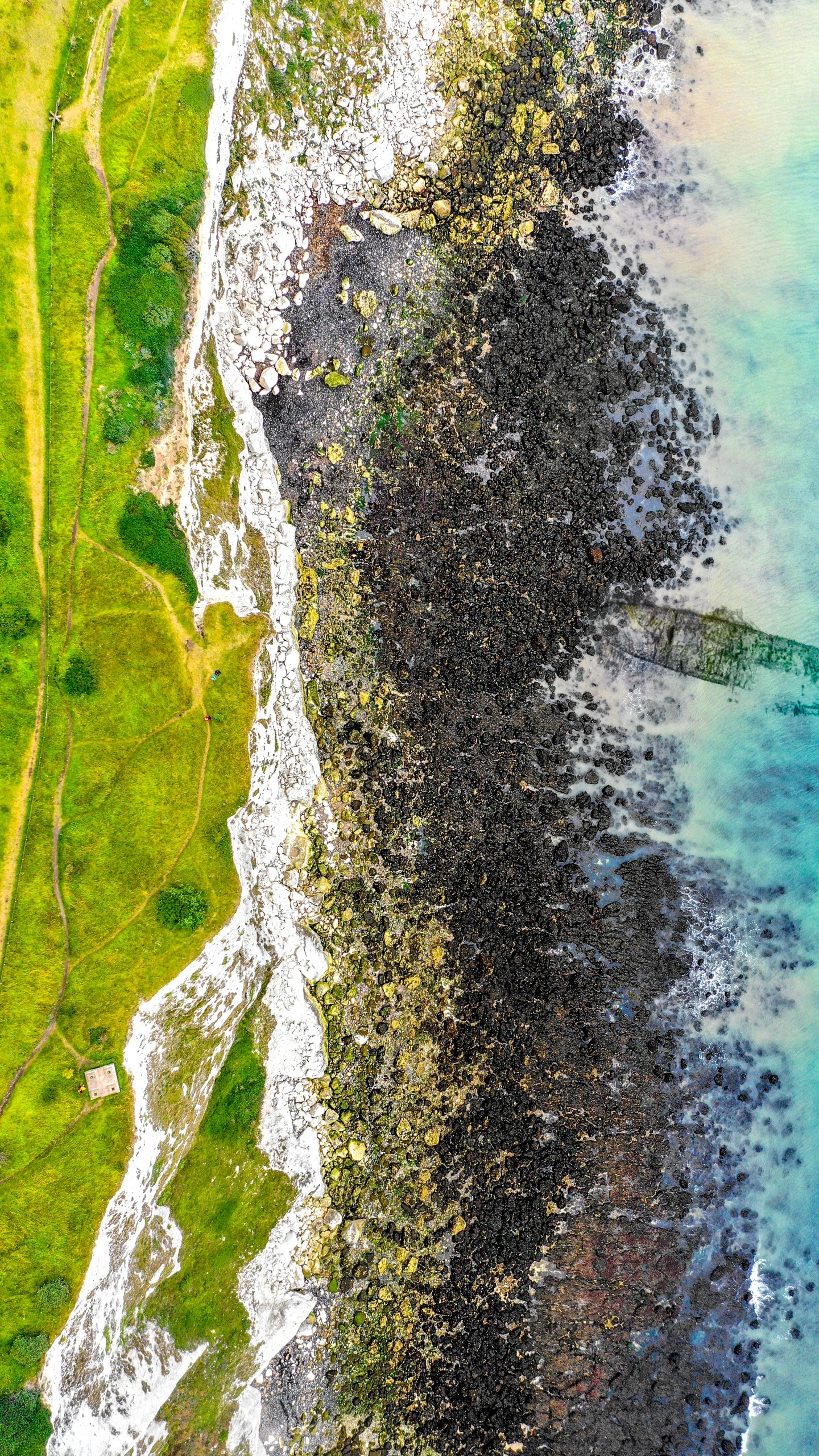 水资源, 绿色的, 枪筒, 水道, M树 壁纸 1440x2560 允许