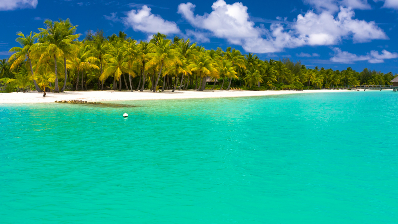 夏天, 热带地区, 大海, 加勒比, 海洋 壁纸 1366x768 允许