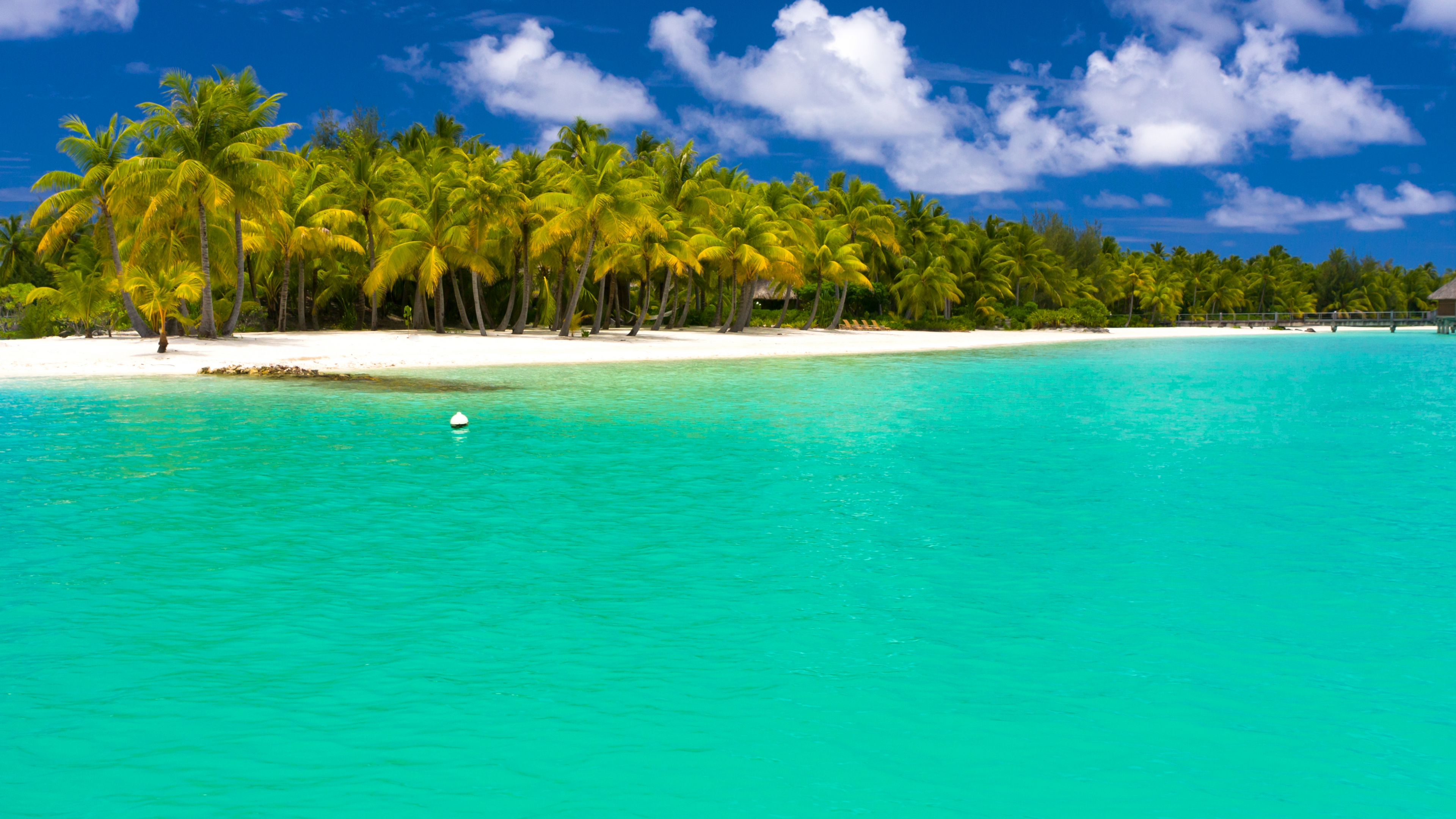 People Swimming on Beach During Daytime. Wallpaper in 3840x2160 Resolution