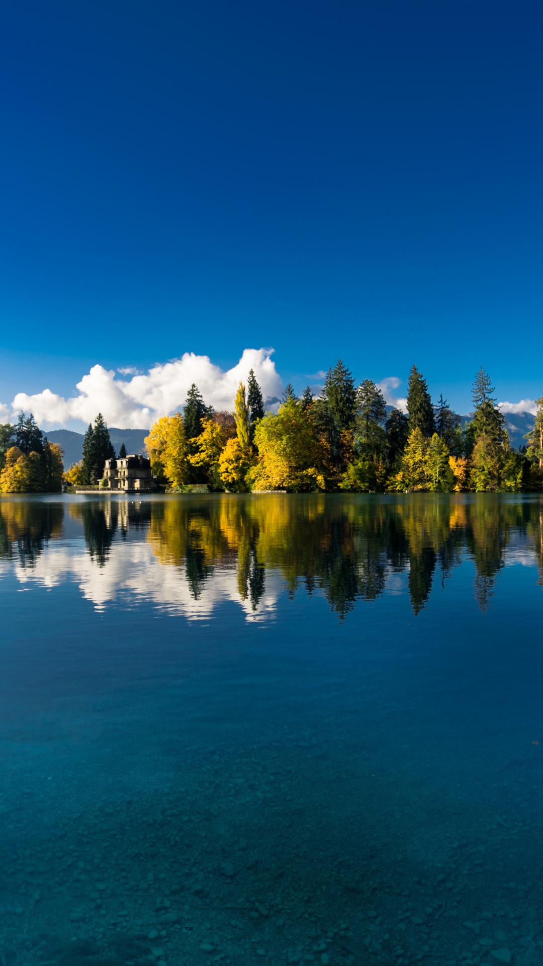 Reflection, Nature, Tree, Water, Blue. Wallpaper in 1080x1920 Resolution