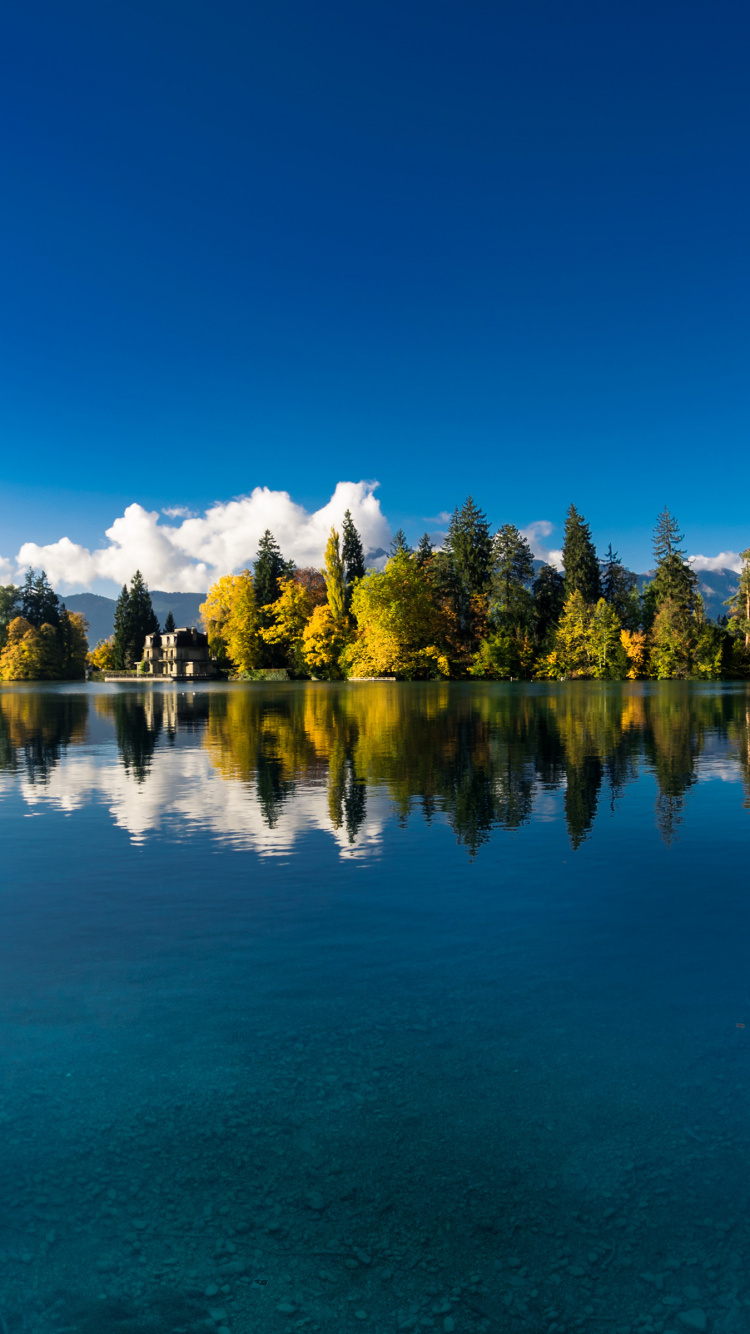 Reflection, Nature, Tree, Water, Blue. Wallpaper in 750x1334 Resolution