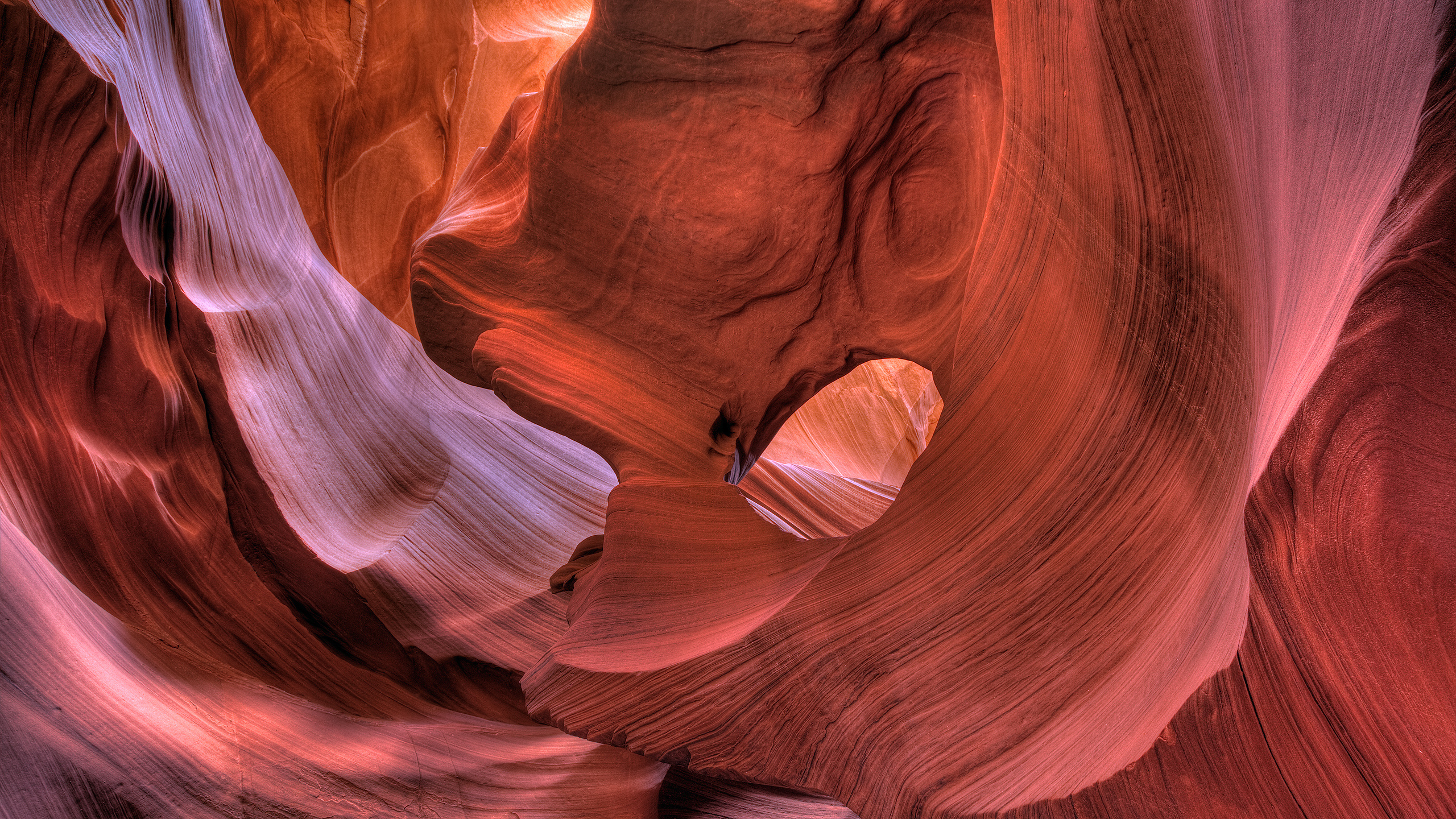 Brown and White Abstract Painting. Wallpaper in 2560x1440 Resolution