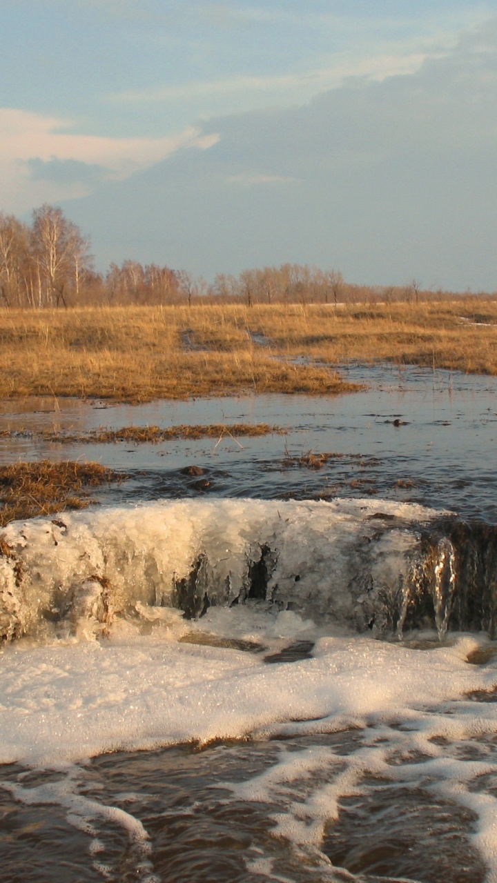Brown Trees Near Body of Water During Daytime. Wallpaper in 720x1280 Resolution