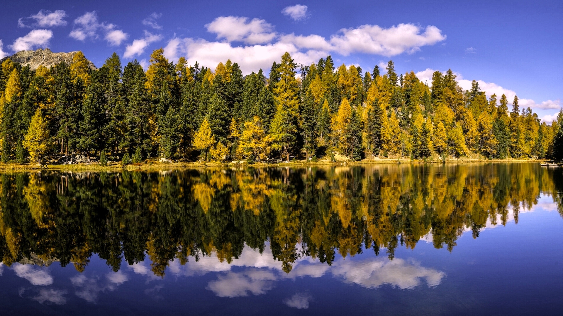 Arbres Verts à Côté D'un Plan D'eau Sous un Ciel Bleu Pendant la Journée. Wallpaper in 1920x1080 Resolution