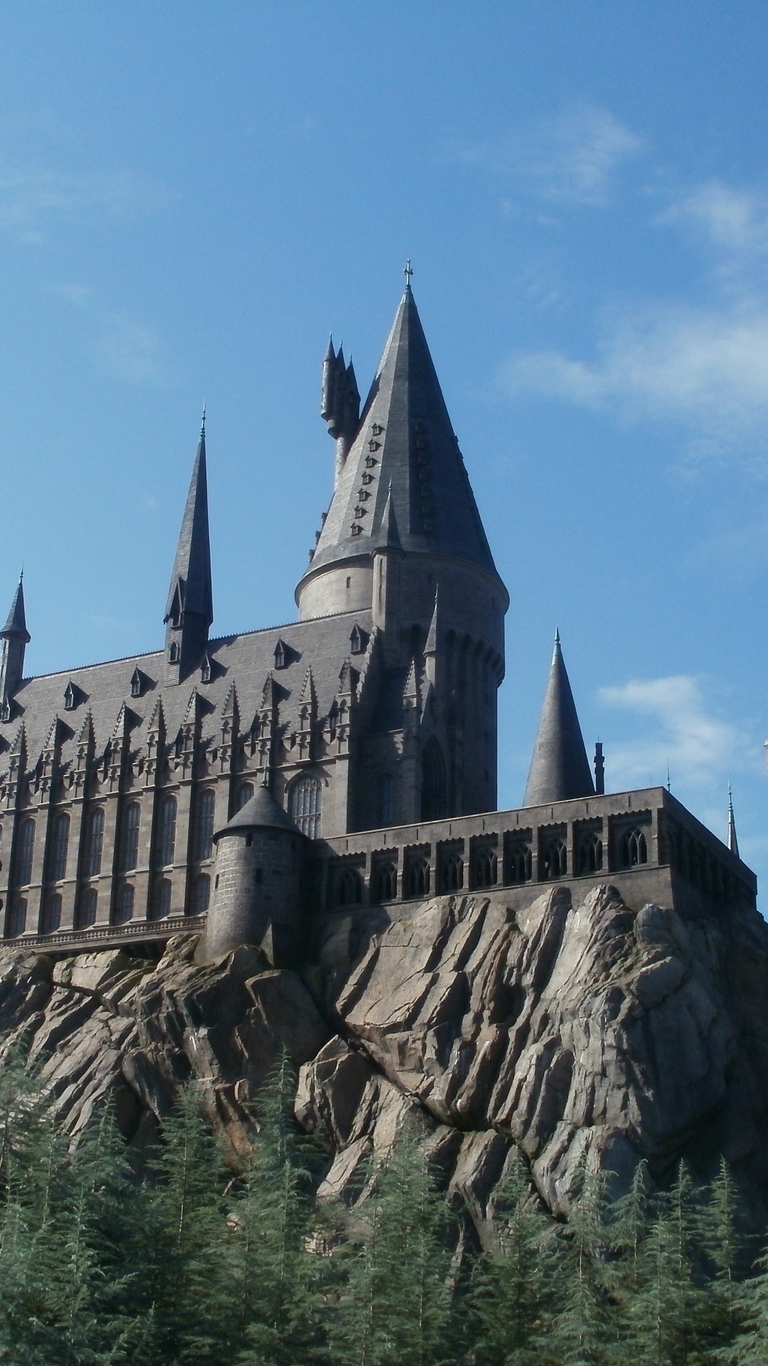 魔法世界的哈利*波特, 魔法世界, 哥特式建筑, 城堡, 中世纪建筑风格 壁纸 1080x1920 允许