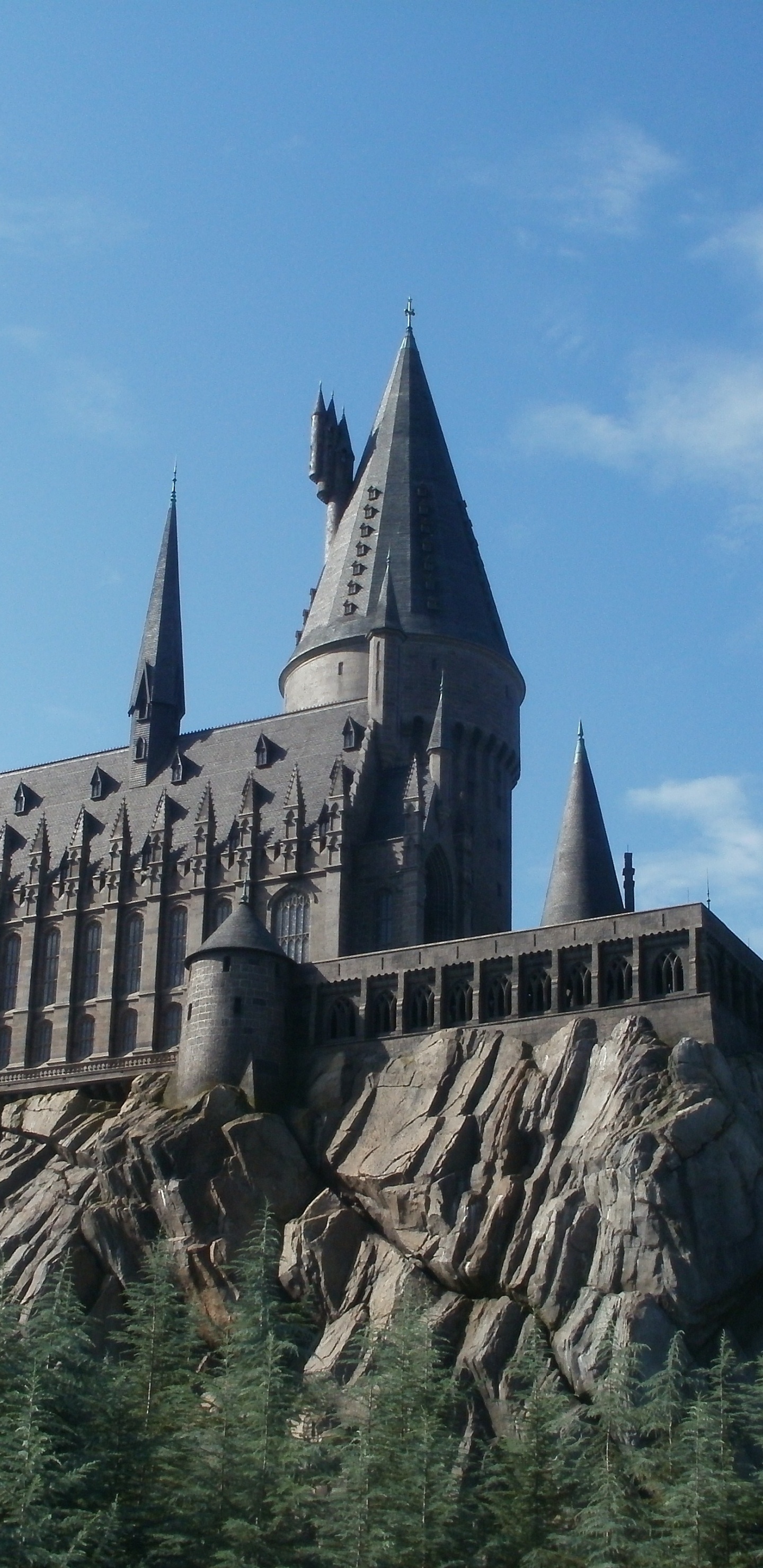 魔法世界的哈利*波特, 魔法世界, 哥特式建筑, 城堡, 中世纪建筑风格 壁纸 1440x2960 允许