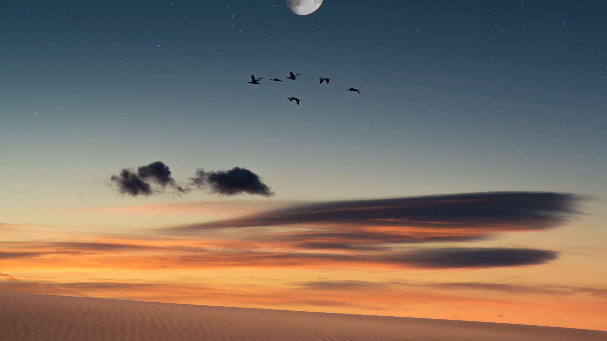 Horizon, Environnement Naturel, Sand, Ciel, Crépuscule. Wallpaper in 2560x1440 Resolution