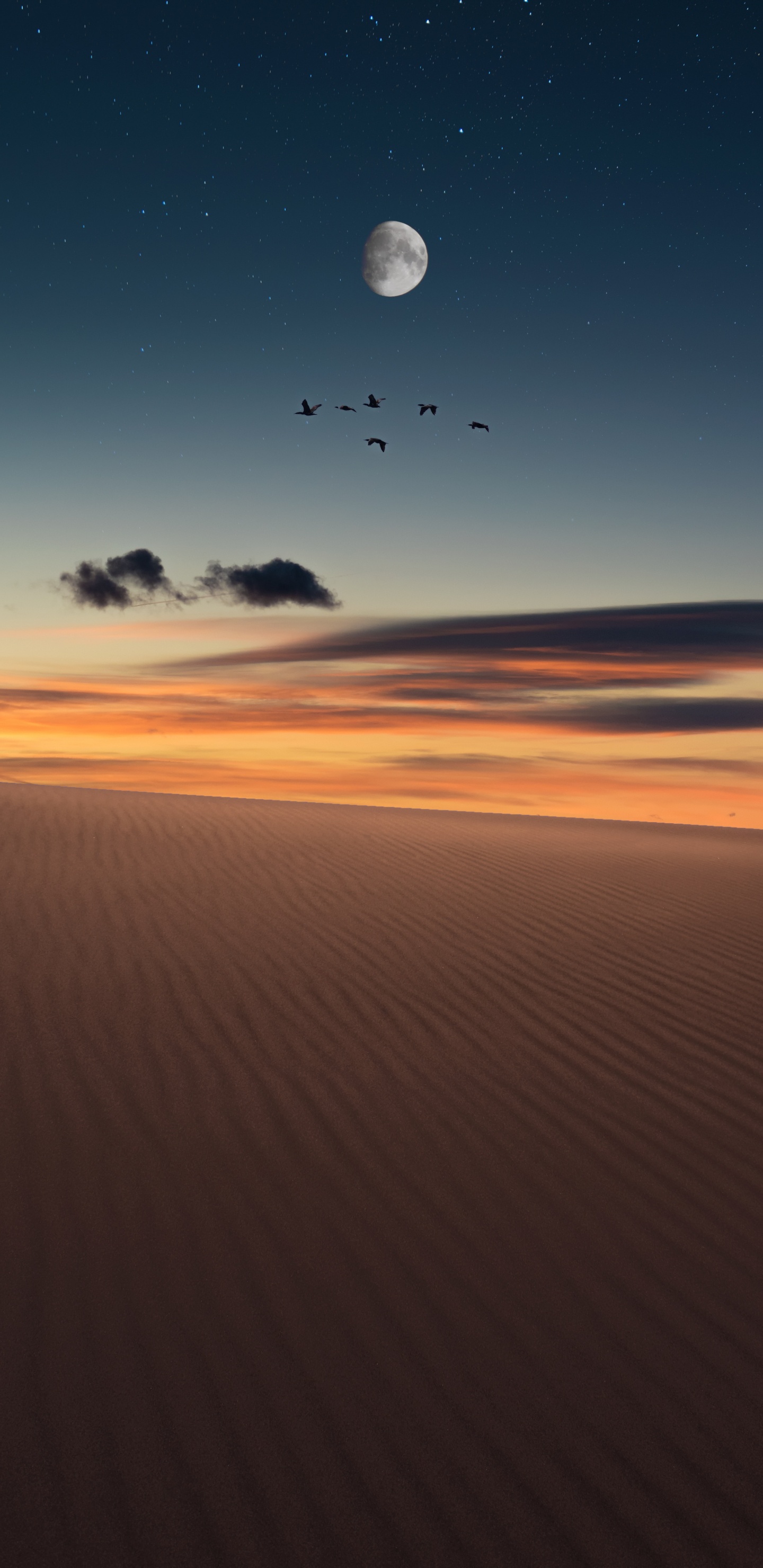 Horizon, Natural Environment, Cloud, Sand, Sky. Wallpaper in 1440x2960 Resolution