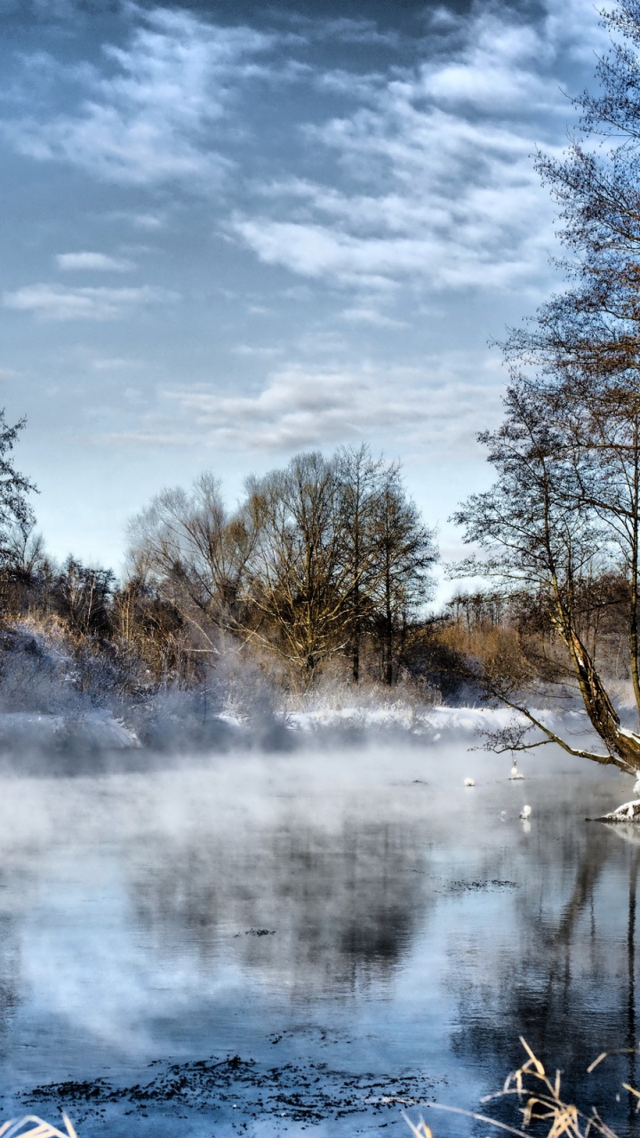 冬天, 性质, 冻结, 反射, 荒野 壁纸 720x1280 允许