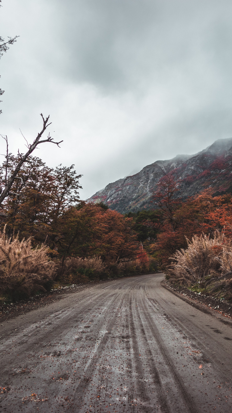 Road, Naturlandschaft, Baum, Cloud, Asphalt. Wallpaper in 750x1334 Resolution