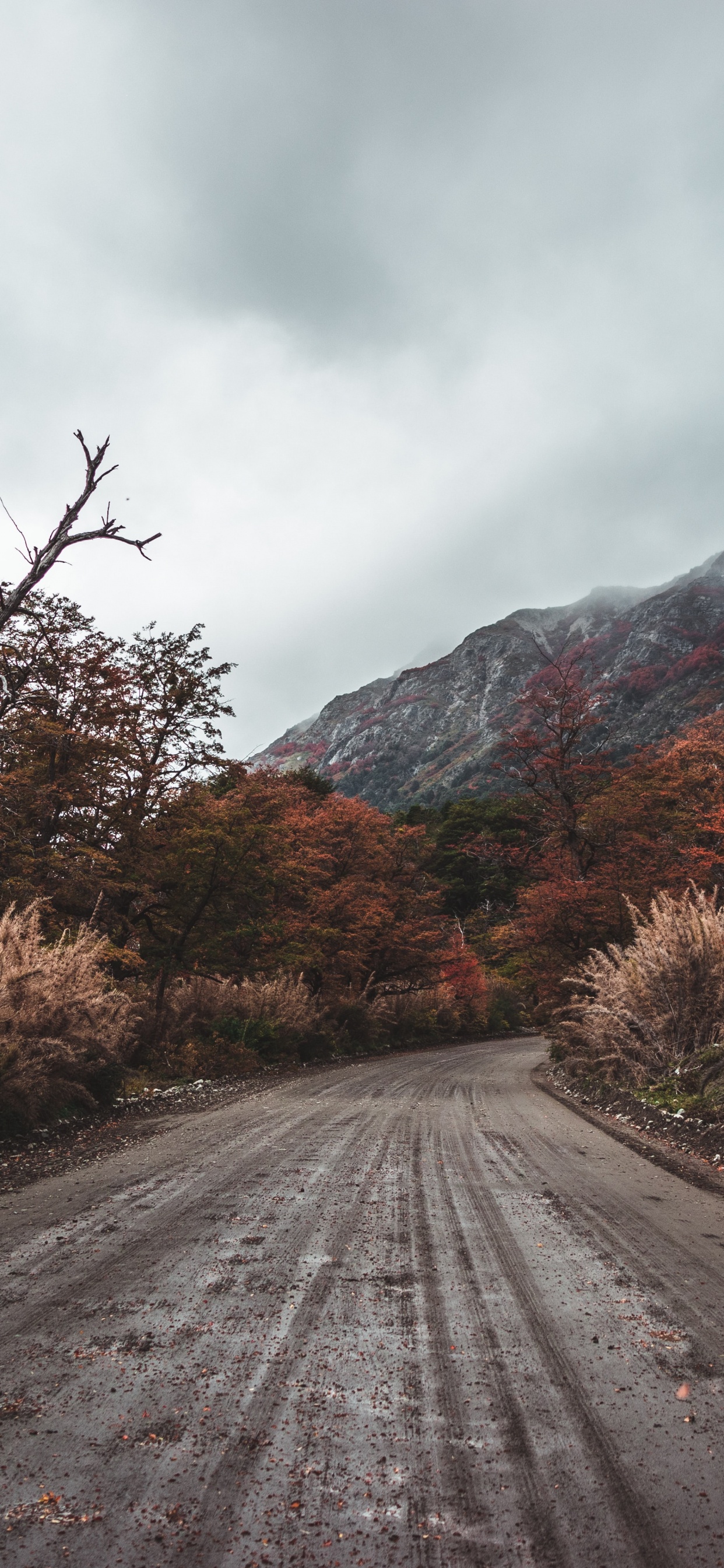 Route, Paysage Naturel, Asphalt, Voie, Ciel. Wallpaper in 1242x2688 Resolution
