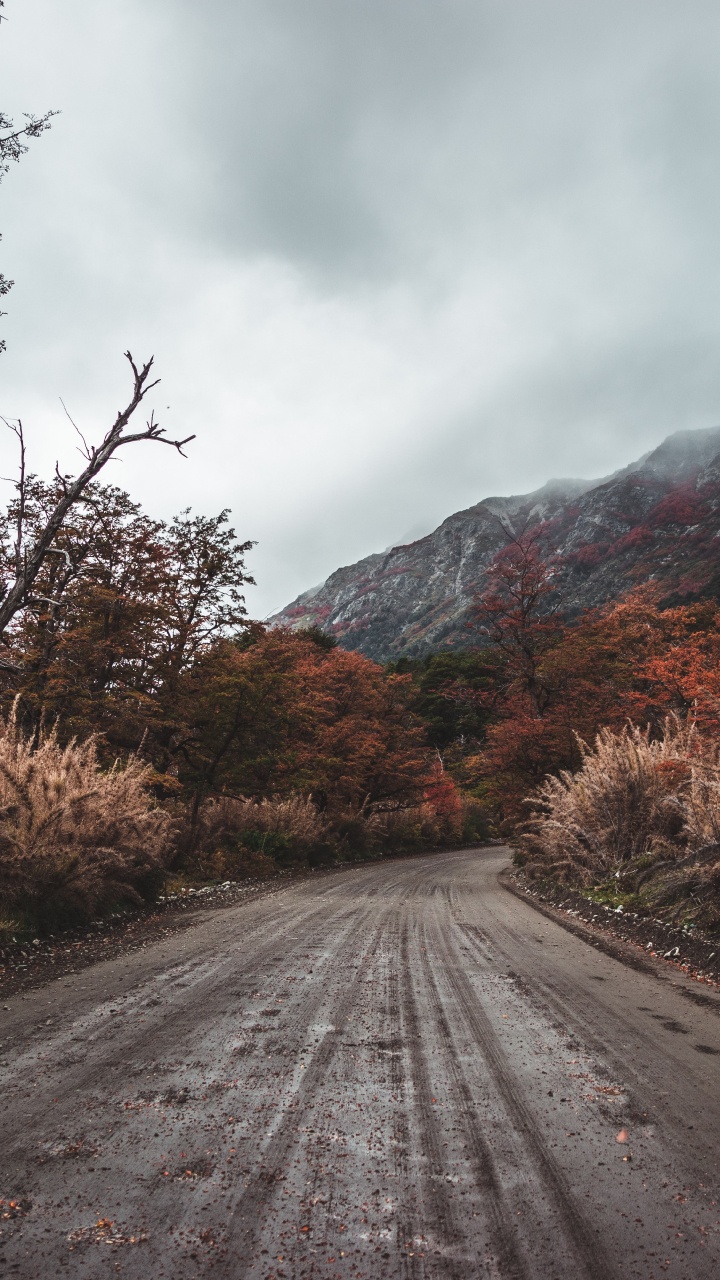 Road, Natural Landscape, Tree, Cloud, Asphalt. Wallpaper in 720x1280 Resolution