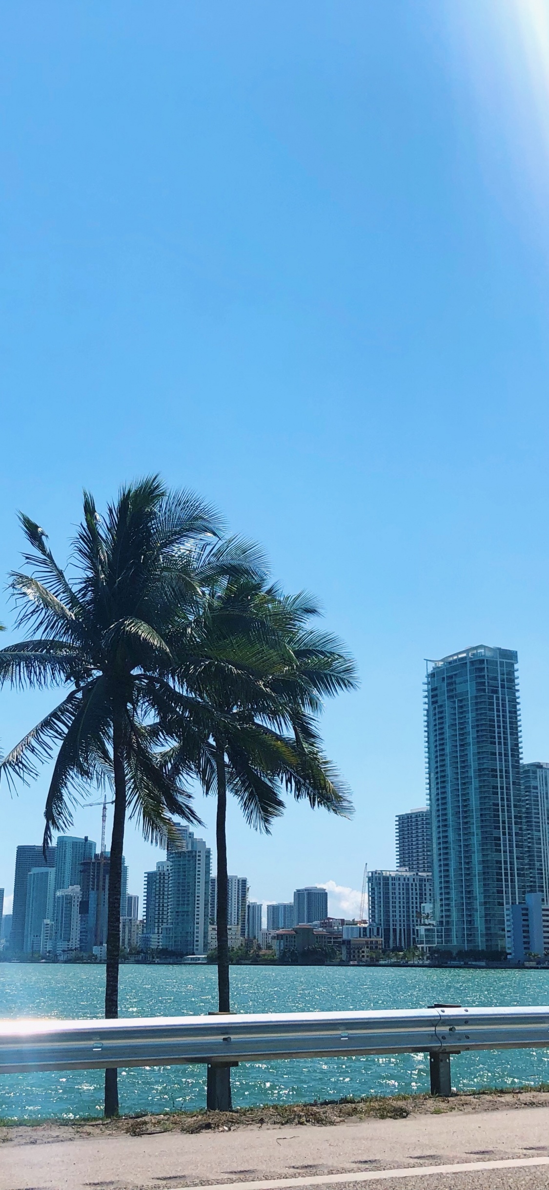 Palmera, Agua, Inmueble, Torre de Bloques, Condominio. Wallpaper in 1125x2436 Resolution