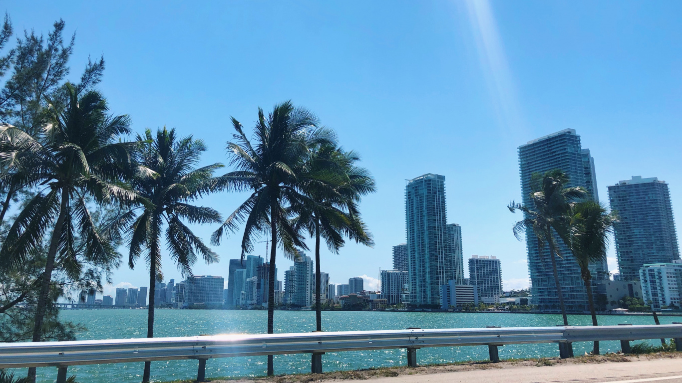 Palmera, Agua, Inmueble, Torre de Bloques, Condominio. Wallpaper in 1366x768 Resolution