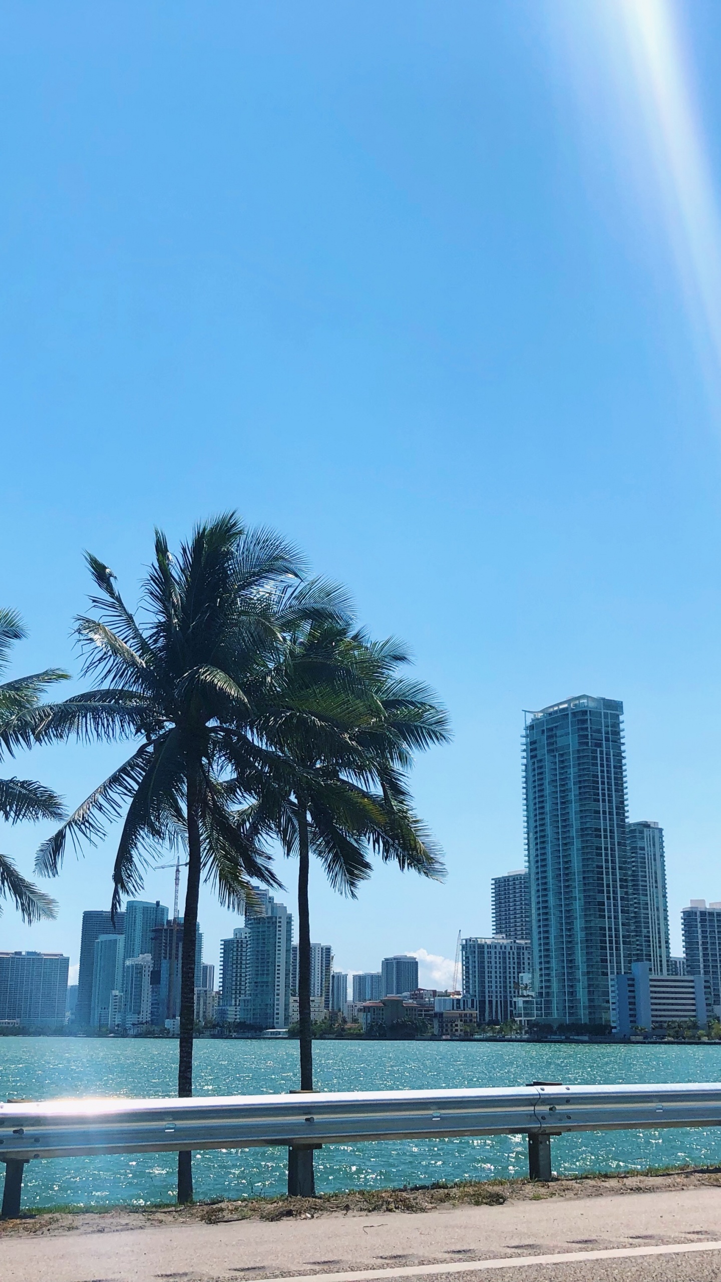 Palmera, Agua, Inmueble, Torre de Bloques, Condominio. Wallpaper in 1440x2560 Resolution