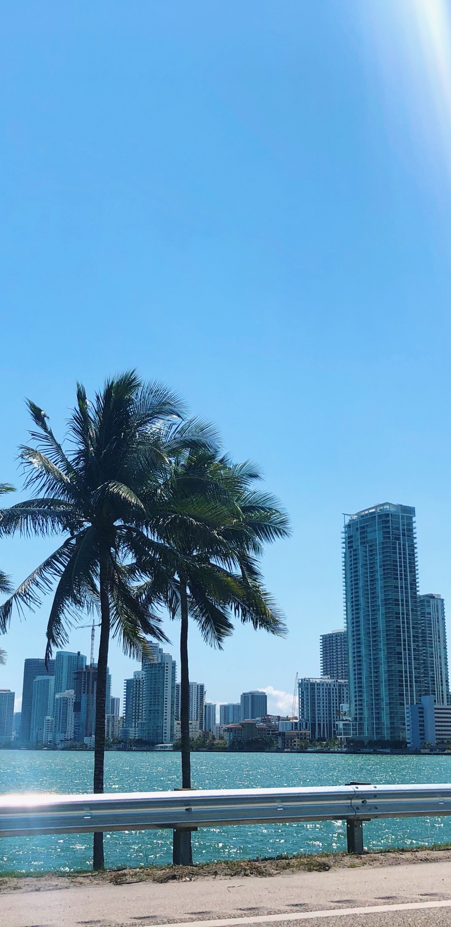 Palmera, Agua, Inmueble, Torre de Bloques, Condominio. Wallpaper in 1440x2960 Resolution