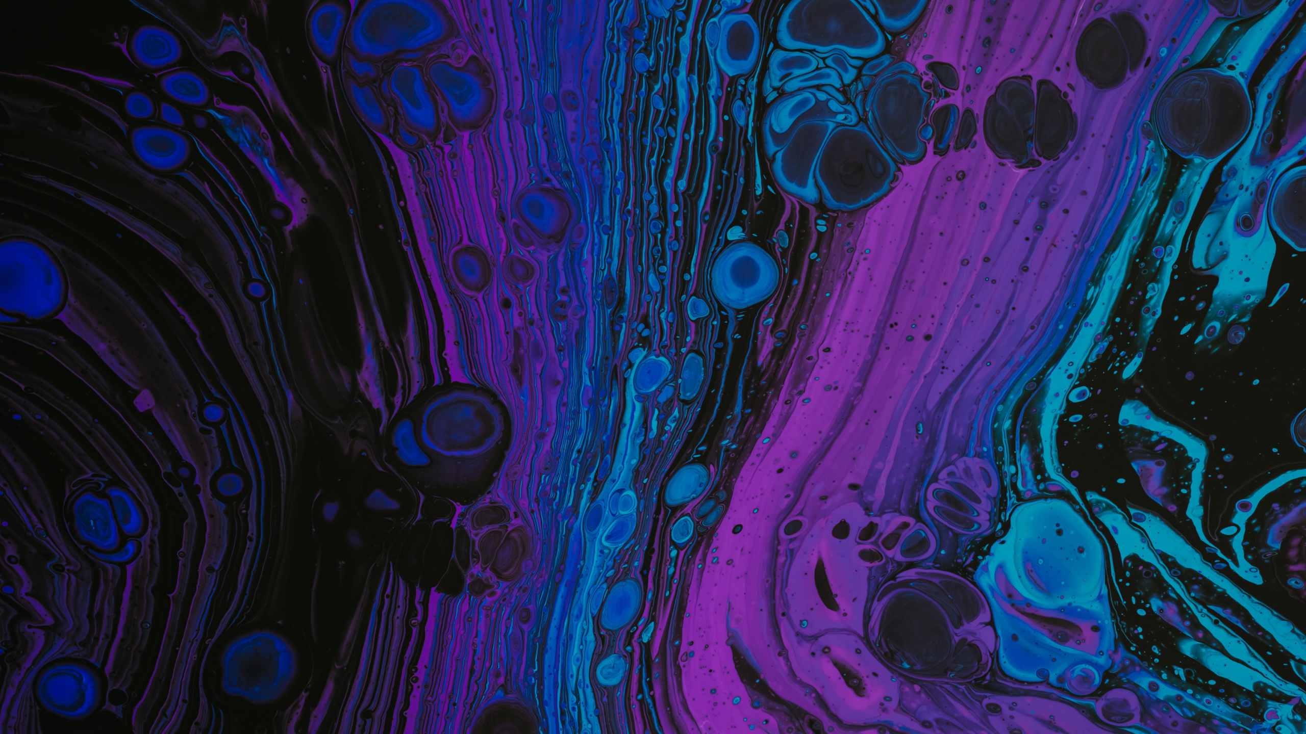 Art Fractal, Purple, Azure, Art, Violette. Wallpaper in 2560x1440 Resolution