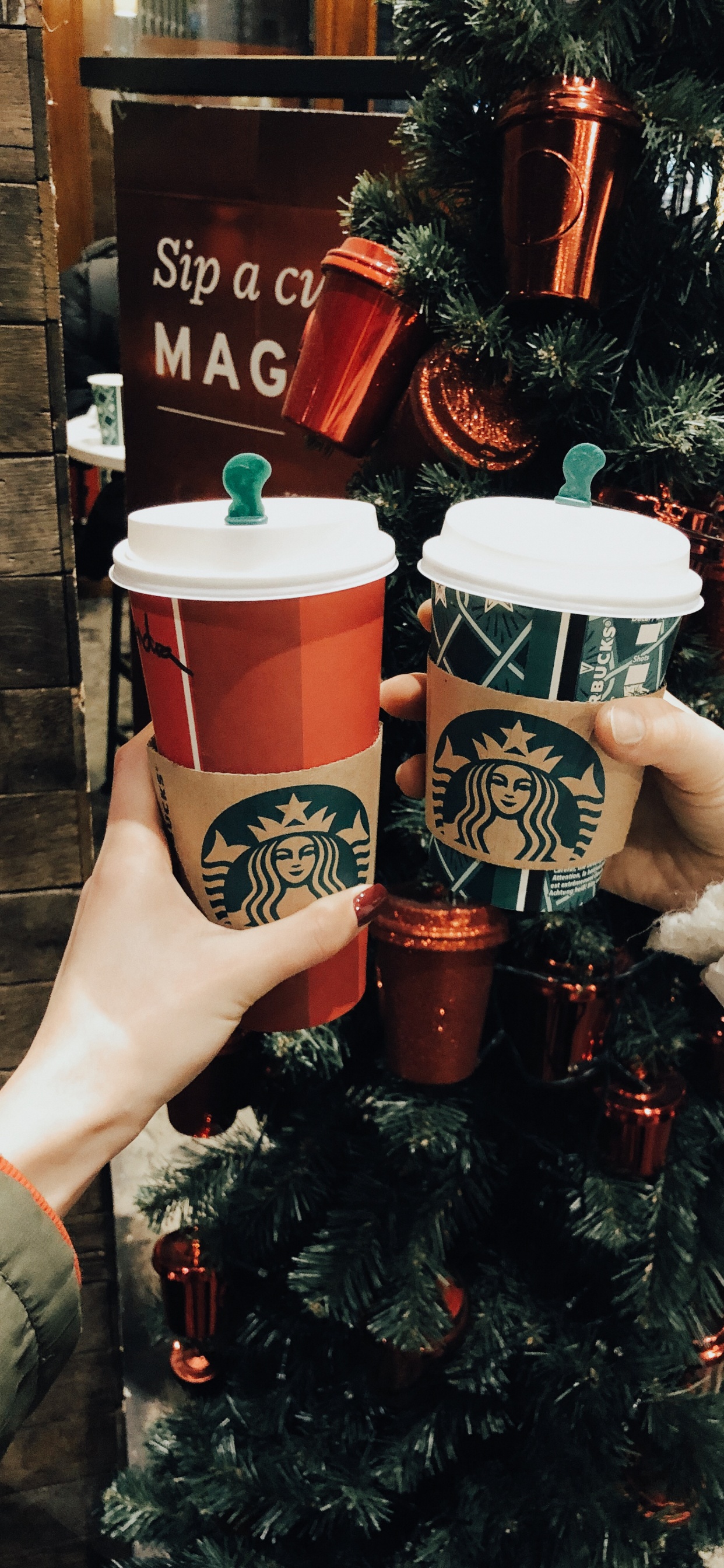 Starbucks Neues Logo 2011, Weihnachten, Weihnachtsdekoration, Blumentopf, Innenarchitektur. Wallpaper in 1242x2688 Resolution