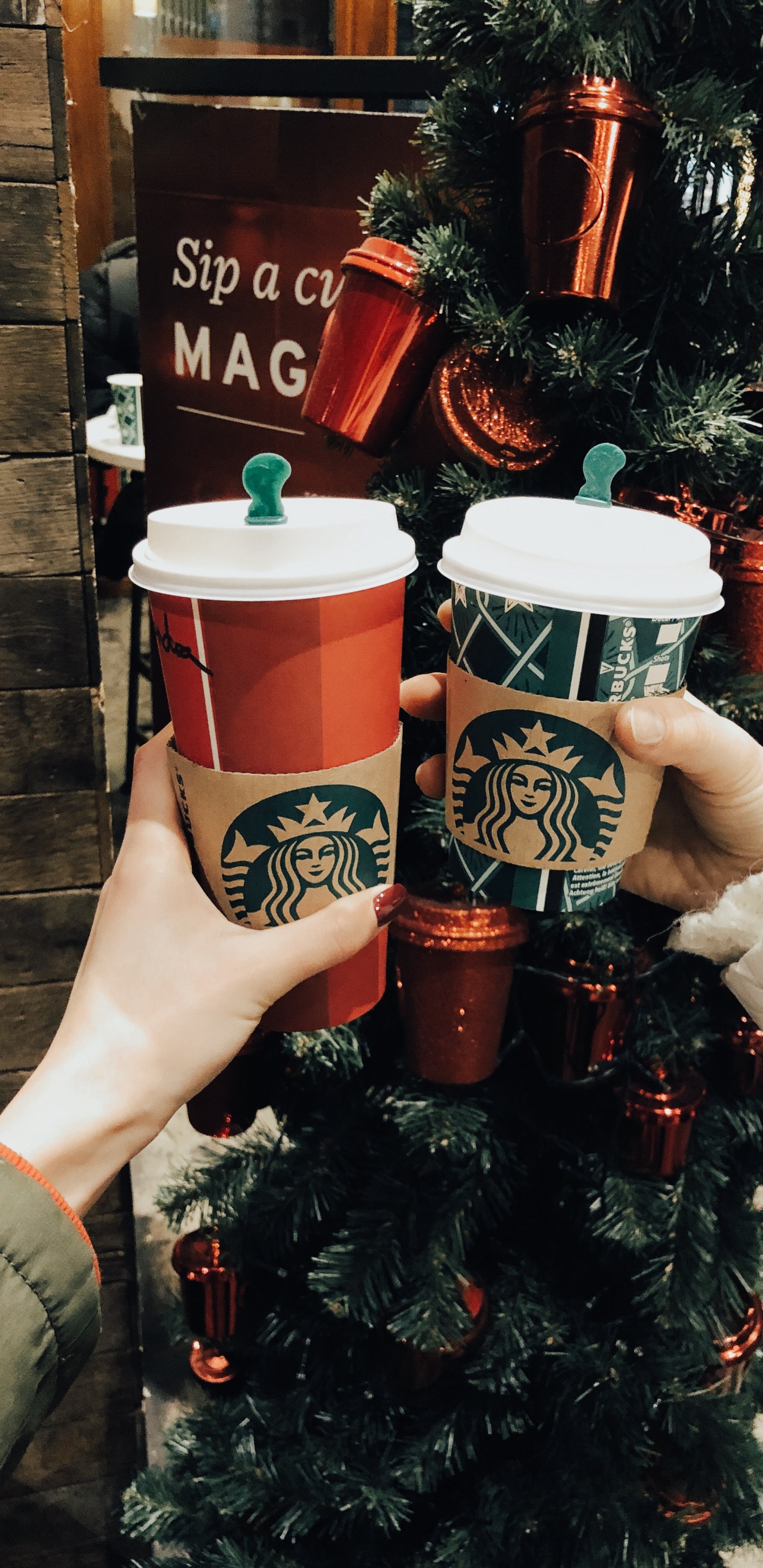 Starbucks Neues Logo 2011, Weihnachten, Weihnachtsdekoration, Blumentopf, Innenarchitektur. Wallpaper in 1440x2960 Resolution