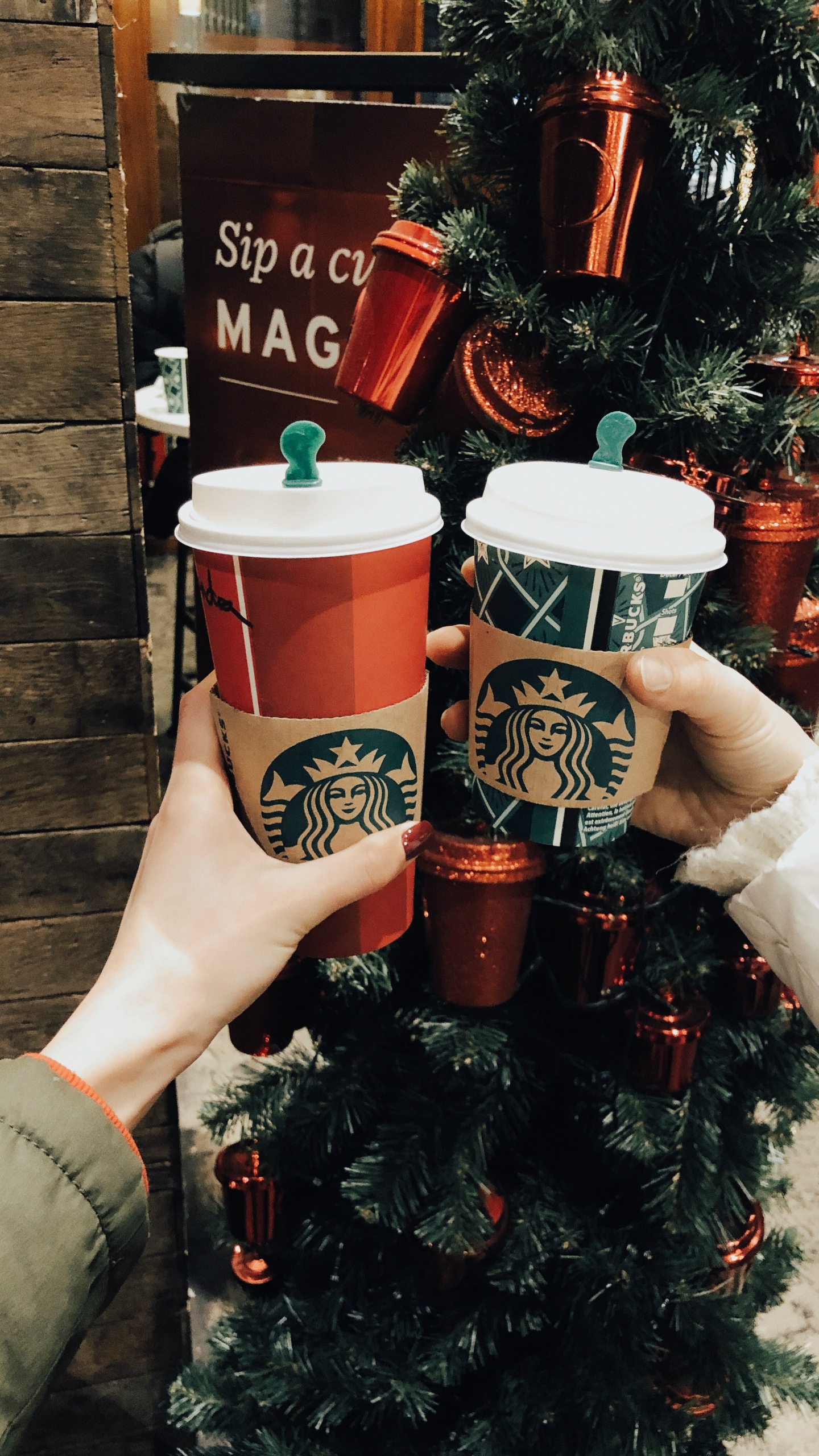 Starbucks New Logo 2011, Christmas Day, Christmas Decoration, Flowerpot, Holiday. Wallpaper in 1440x2560 Resolution