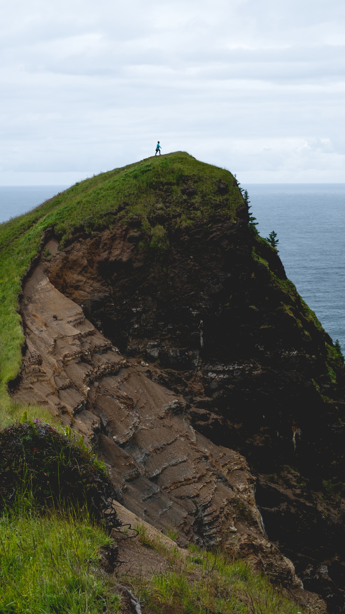 Headland, Cliff, Klippe, Raised Beach, Promontory. Wallpaper in 1440x2560 Resolution