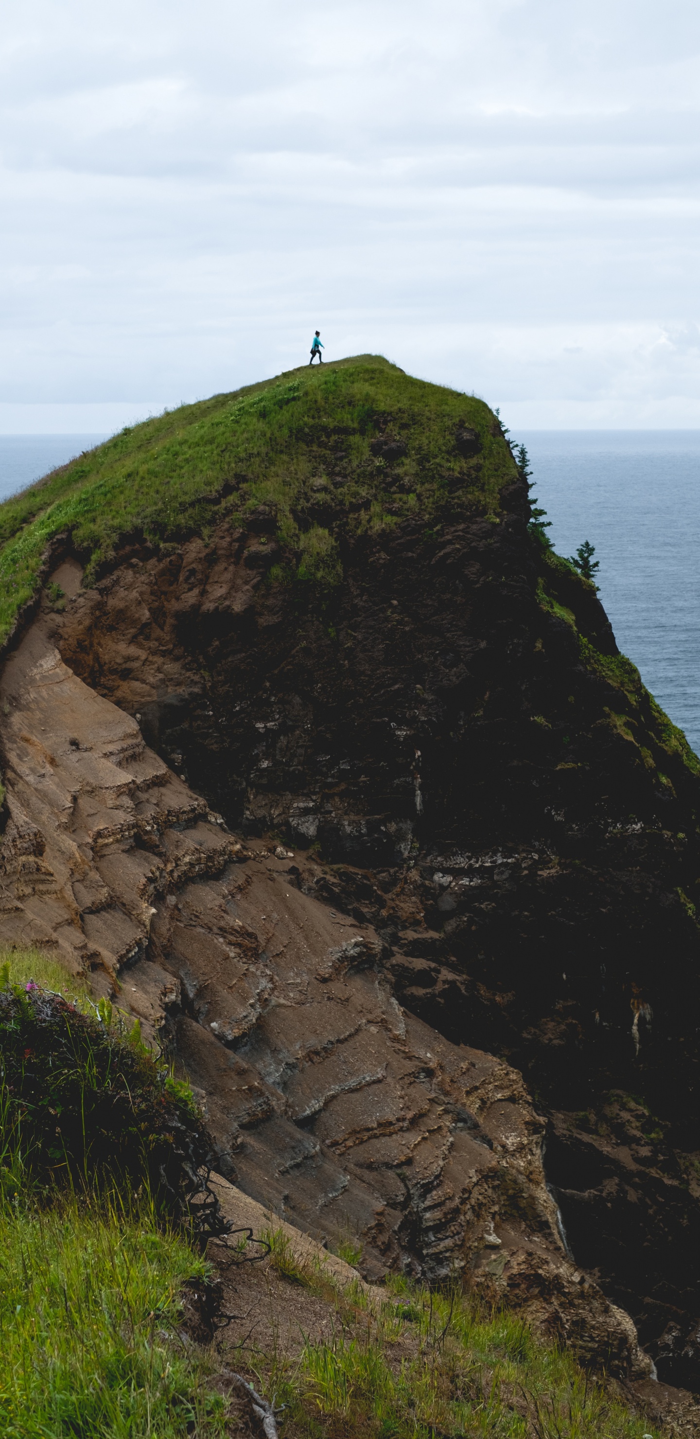 Headland, Cliff, Klippe, Raised Beach, Promontory. Wallpaper in 1440x2960 Resolution