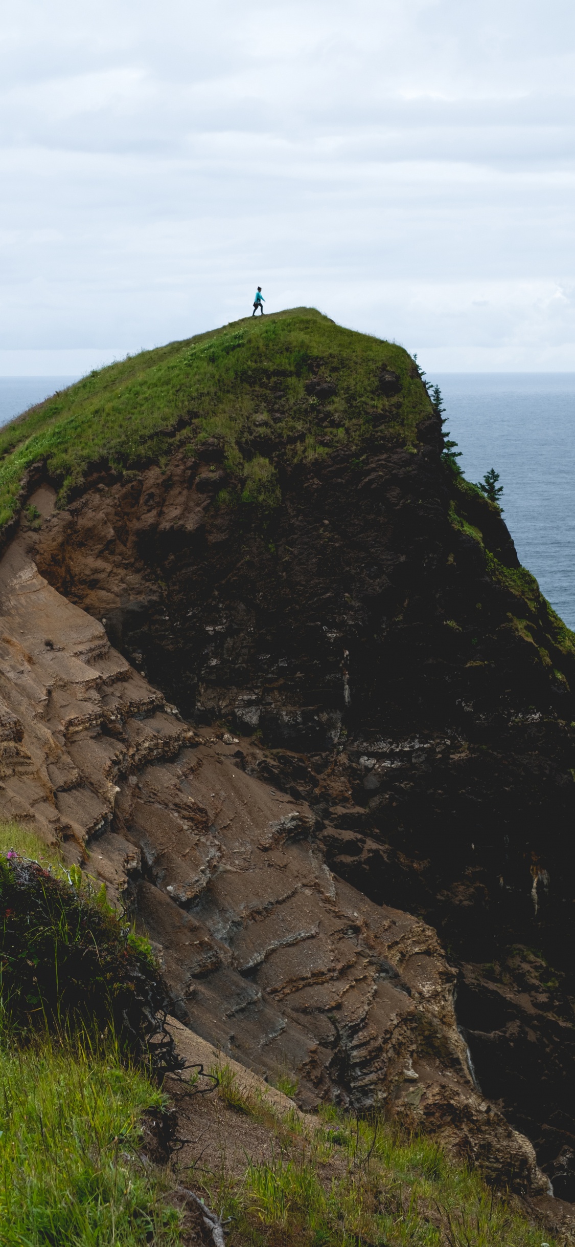 岬, 悬崖, Klippe, 海角, 海岸 壁纸 1125x2436 允许
