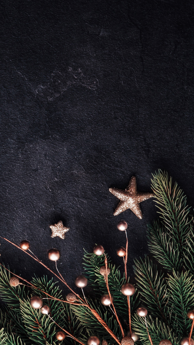 Nochevieja, Navidad, Manzana, Estrella, Objeto Astronómico. Wallpaper in 750x1334 Resolution