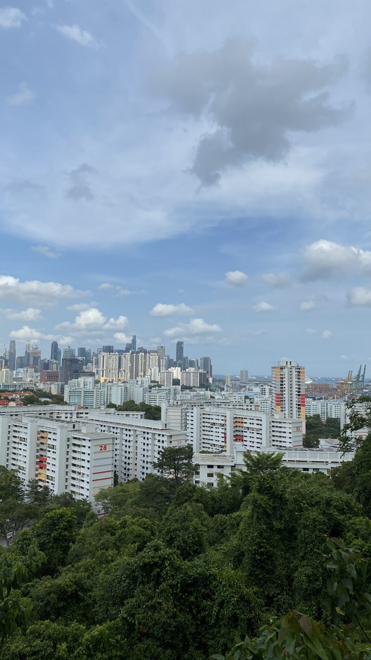 Daytime, Tower Block, Urban Area, Neighbourhood, Property. Wallpaper in 750x1334 Resolution