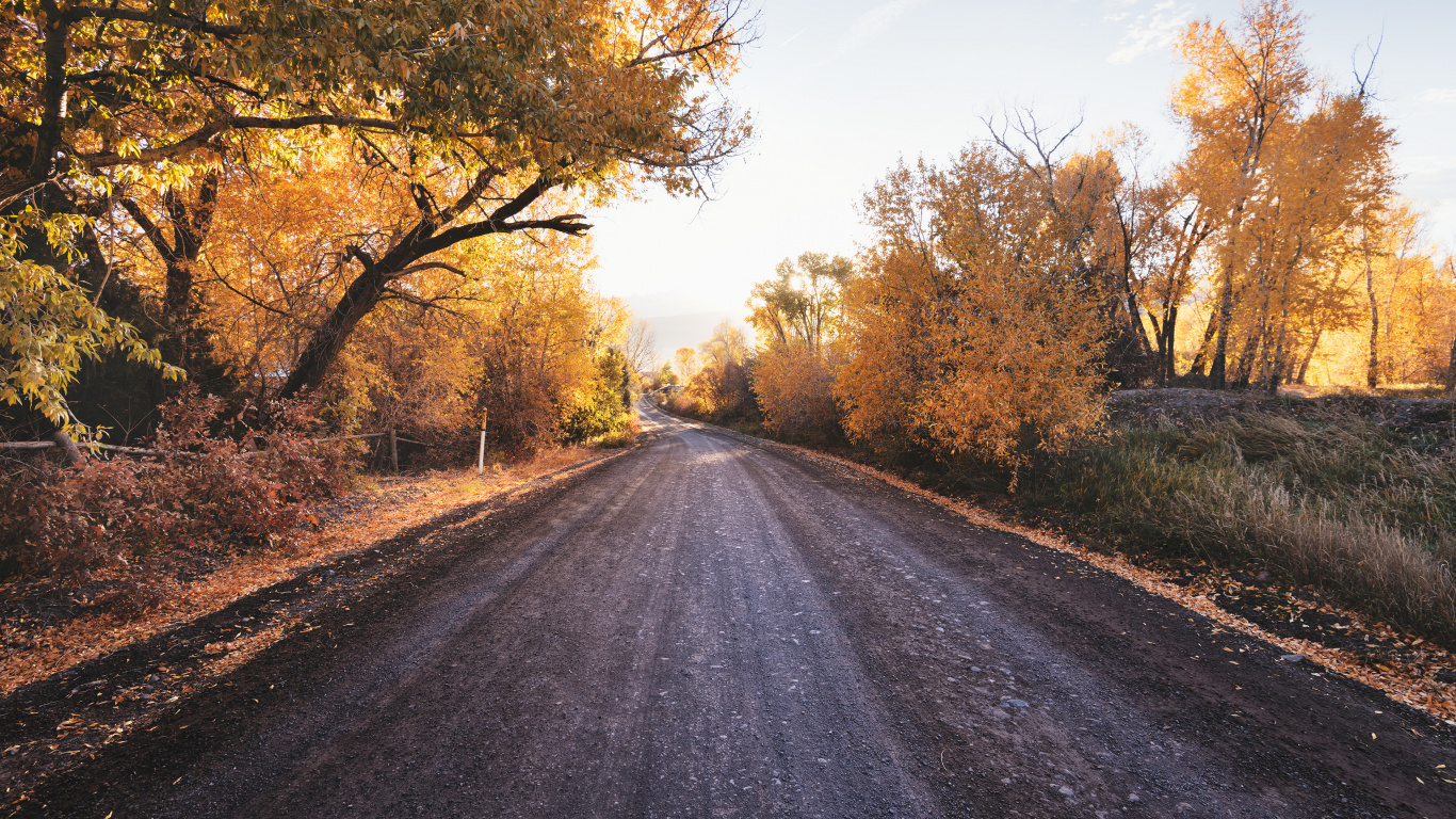 Herbst, Road, Schwefel-Skyline-Pfad, Straßenreise, Transport. Wallpaper in 1366x768 Resolution