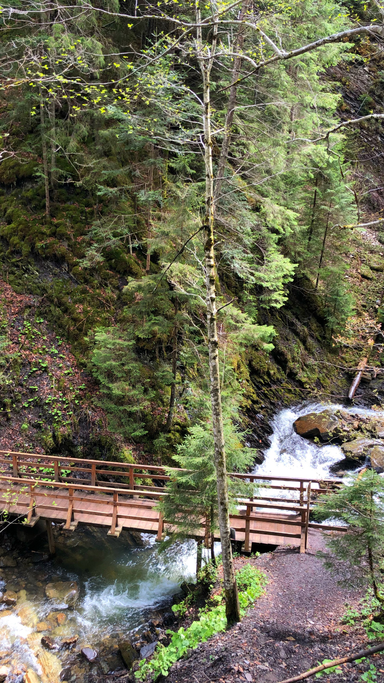 Natur, Natürlichen Umgebung, Naturlandschaft, Brücke, Blatt. Wallpaper in 750x1334 Resolution