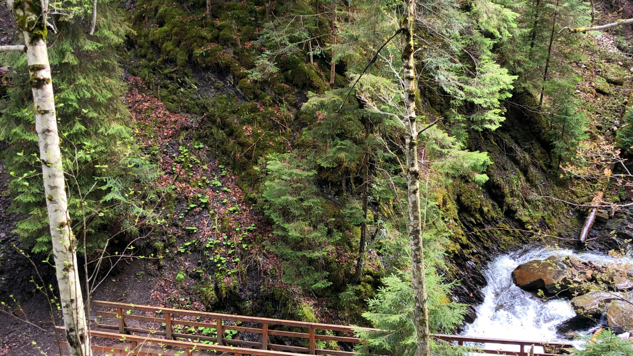 Nature, Environnement Naturel, Paysage Naturel, Pont, Feuille. Wallpaper in 1280x720 Resolution