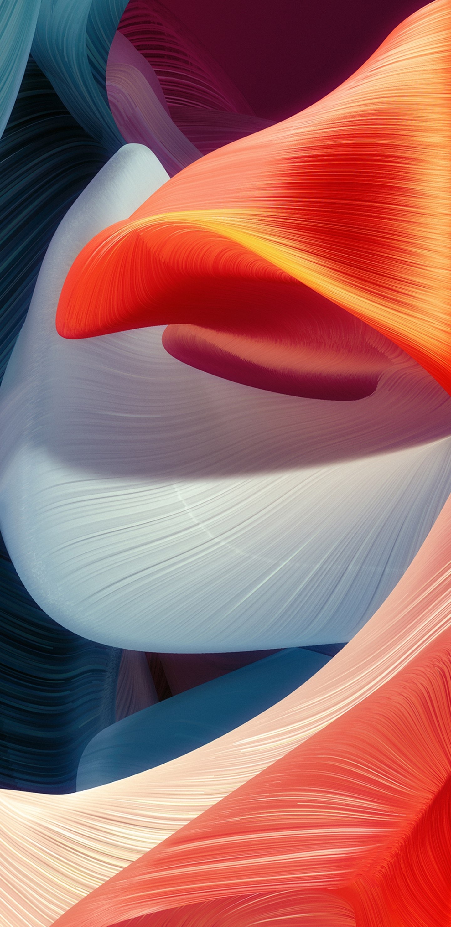 Apples, Hair, Eye, Light, Human Body. Wallpaper in 1440x2960 Resolution