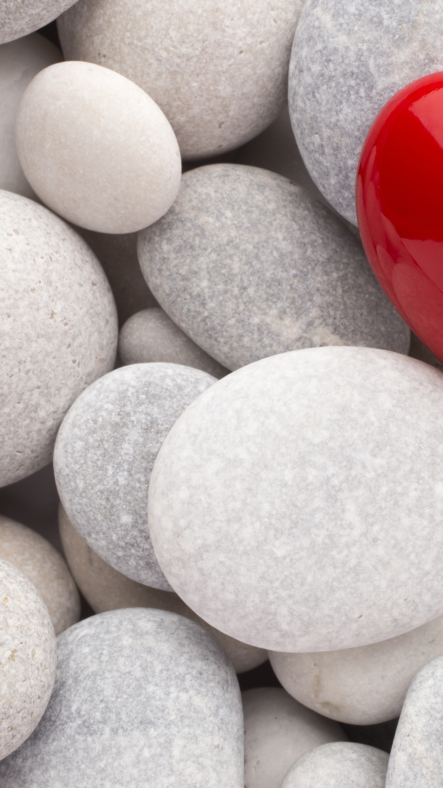 Heart, Pebble, Love, Unique Beautiful, Material. Wallpaper in 1440x2560 Resolution