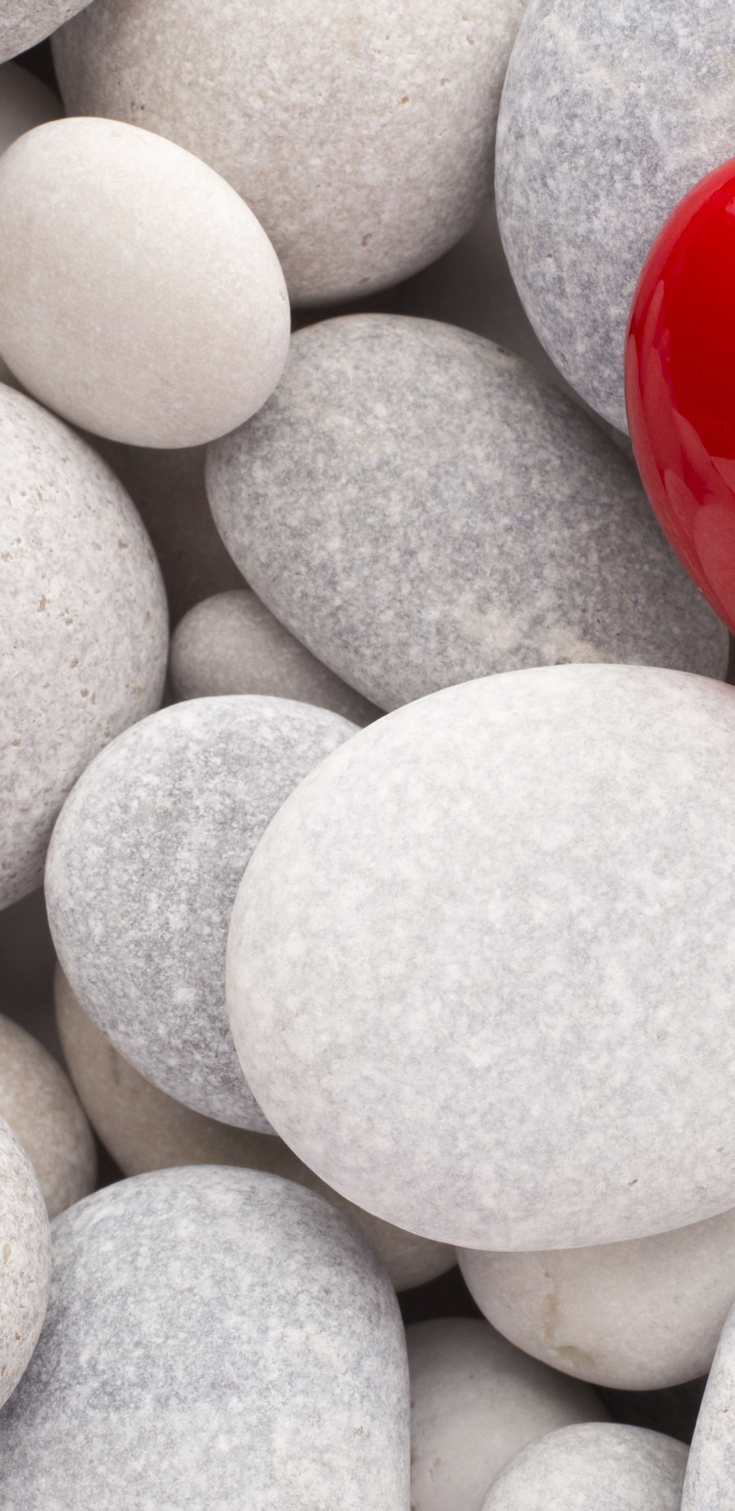 Heart, Pebble, Love, Unique Beautiful, Material. Wallpaper in 1440x2960 Resolution