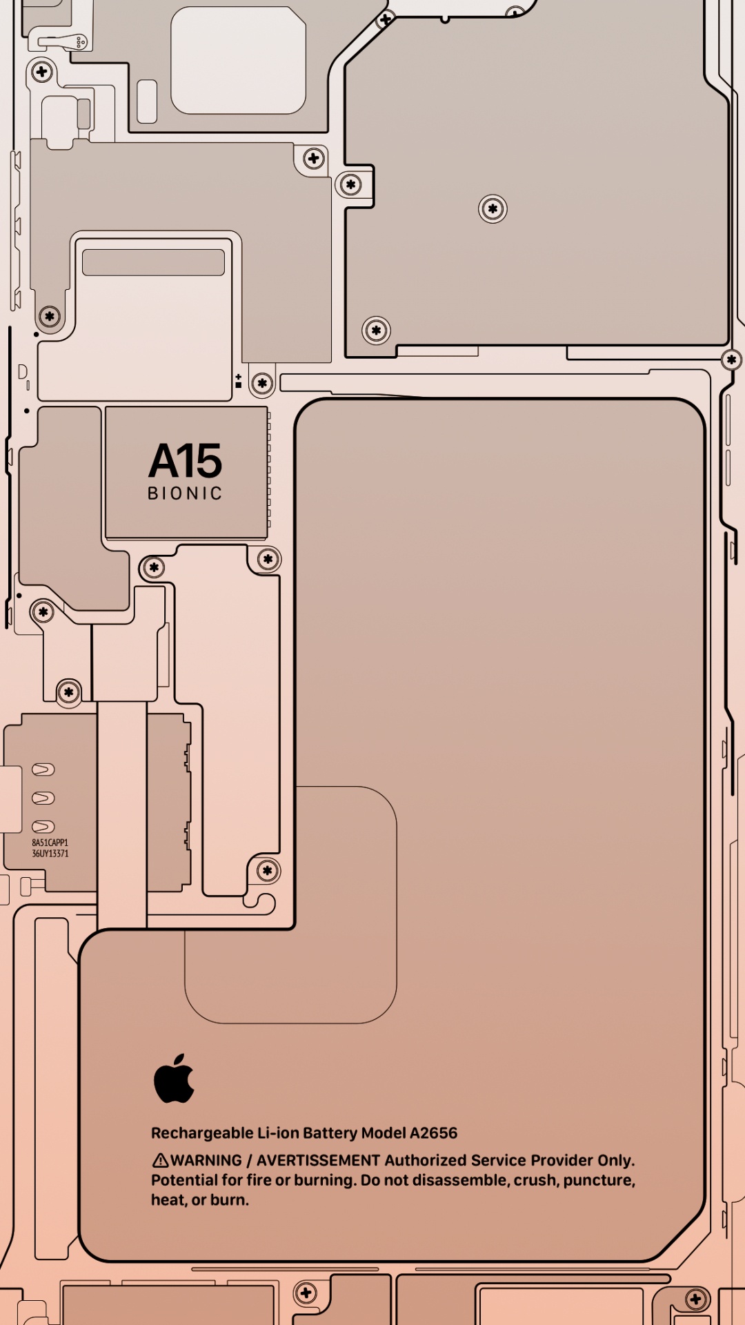 苹果, Apple, IPhone, 15仿生, 相似之处 壁纸 1080x1920 允许