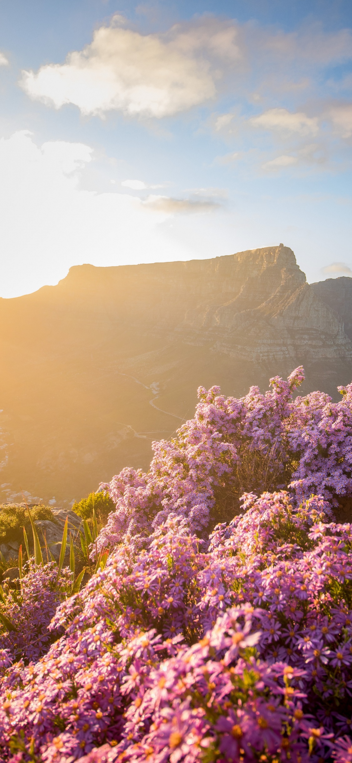 Maclears Beacon, Table Mountain Aerial Cableway, Mountain, Nature, Cloud. Wallpaper in 1125x2436 Resolution