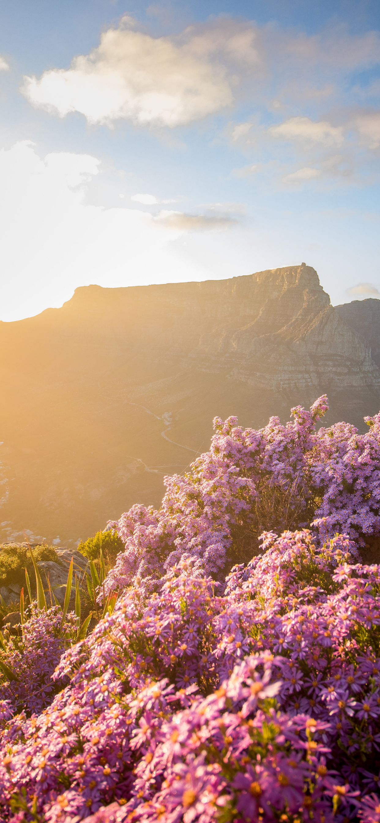 Maclears Beacon, Table Mountain Aerial Cableway, Mountain, Nature, Cloud. Wallpaper in 1242x2688 Resolution
