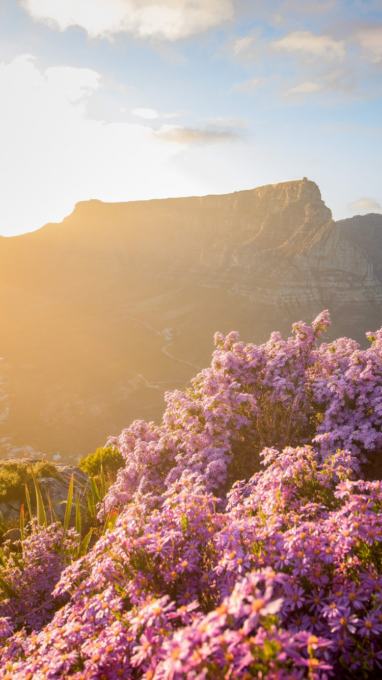 Maclears Beacon, Table Mountain Aerial Cableway, Mountain, Nature, Cloud. Wallpaper in 750x1334 Resolution