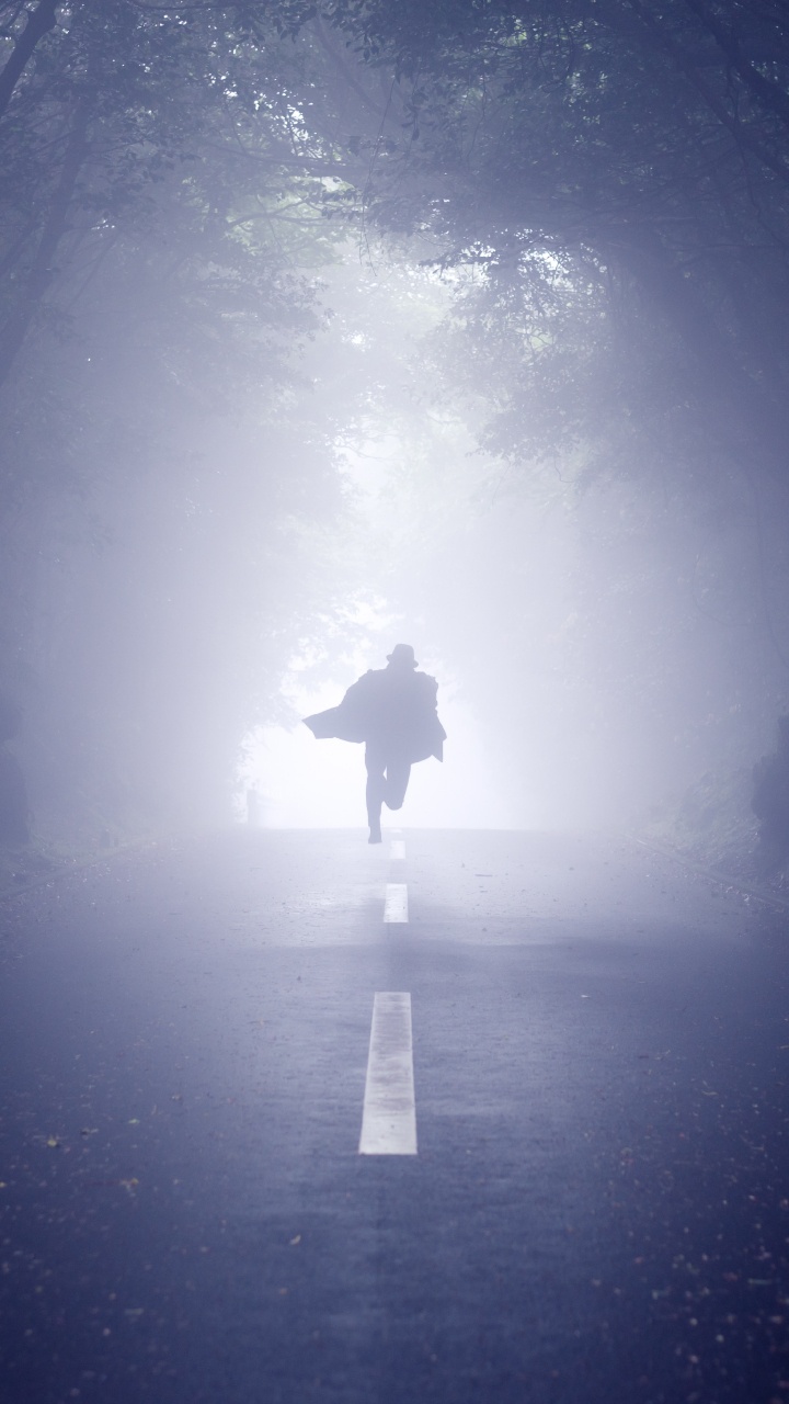 Person in Black Jacket Standing on The Middle of The Forest. Wallpaper in 720x1280 Resolution