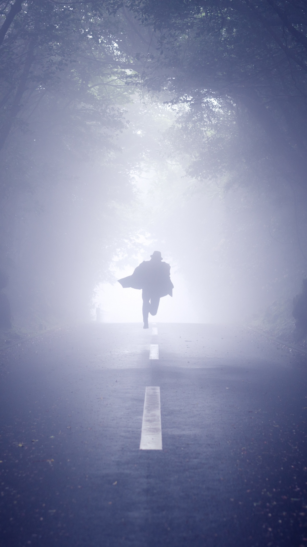 Person in Schwarzer Jacke, Die Mitten im Wald Steht. Wallpaper in 1080x1920 Resolution