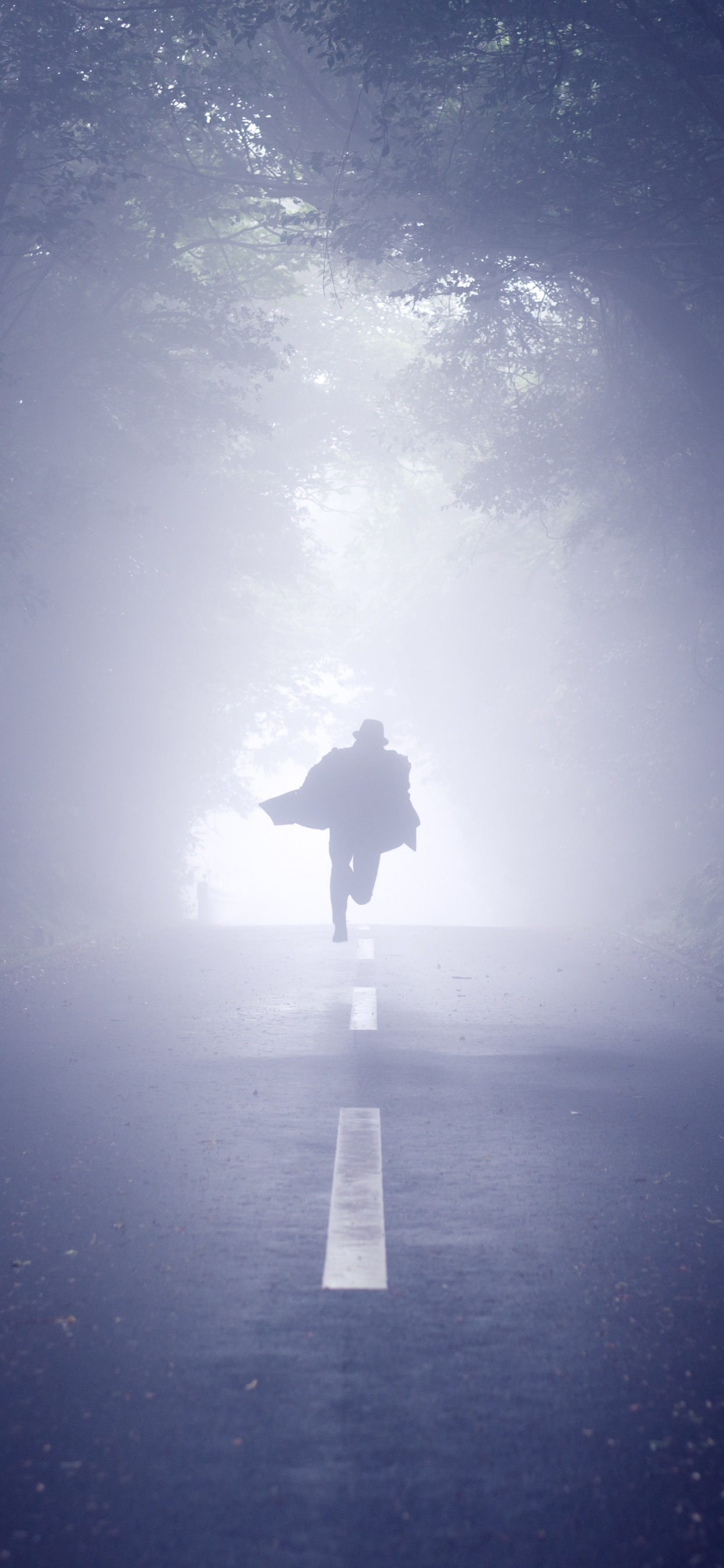 Person in Schwarzer Jacke, Die Mitten im Wald Steht. Wallpaper in 1242x2688 Resolution