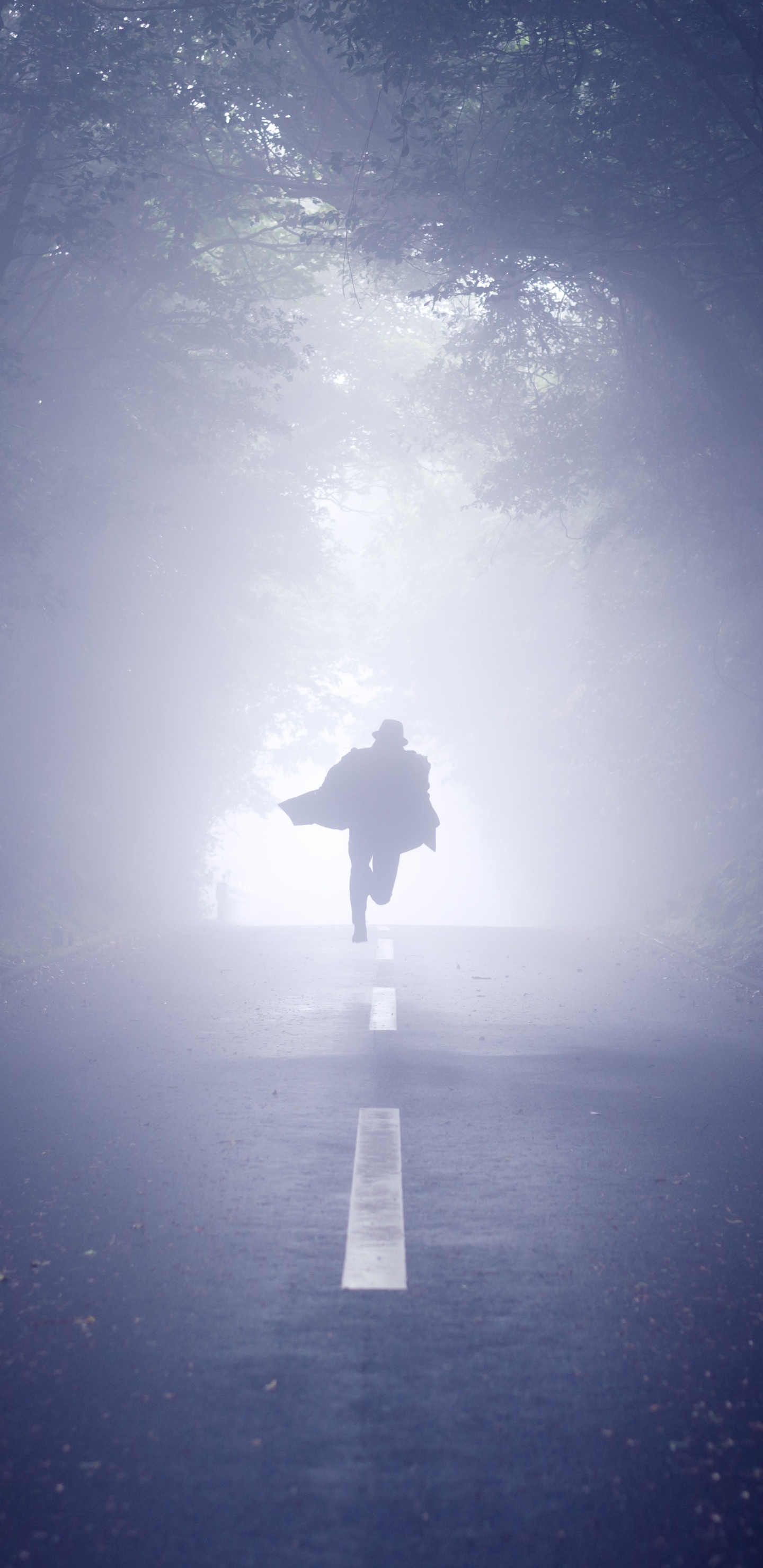 Personne en Veste Noire Debout au Milieu de la Forêt. Wallpaper in 1440x2960 Resolution