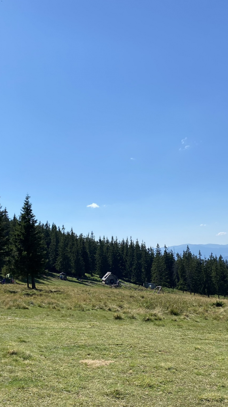 Gewässer, Road, Bergigen Landschaftsformen, Natur, Vegetation. Wallpaper in 750x1334 Resolution