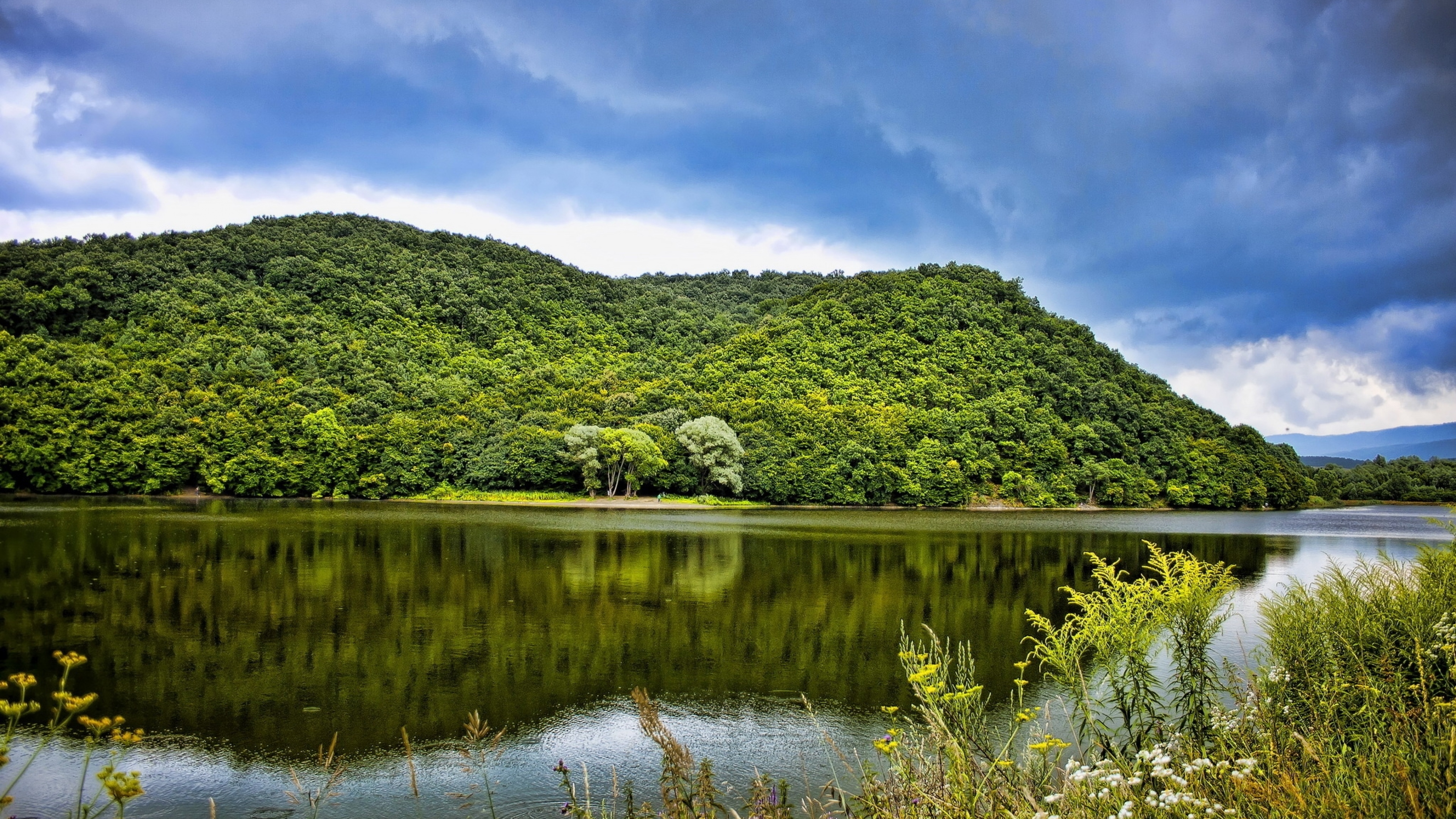 Green Trees Beside Lake Under Blue Sky During Daytime. Wallpaper in 3840x2160 Resolution