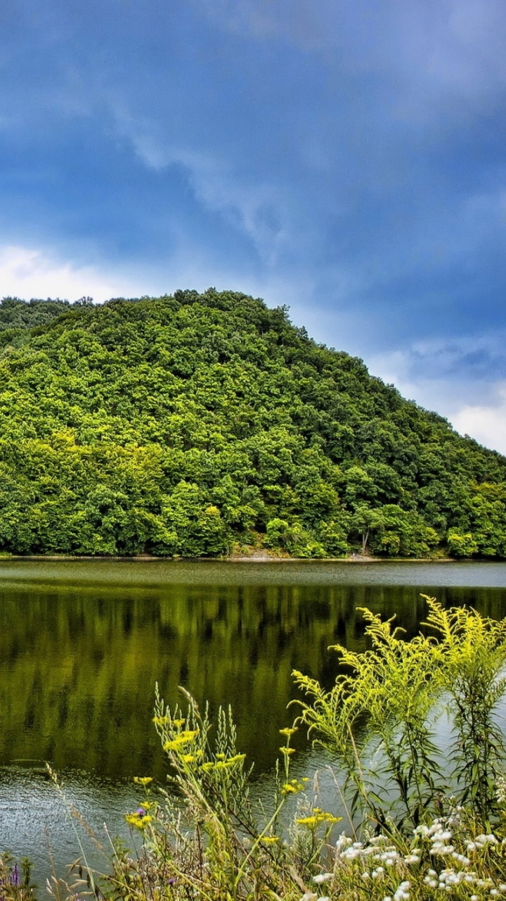 Green Trees Beside Lake Under Blue Sky During Daytime. Wallpaper in 720x1280 Resolution