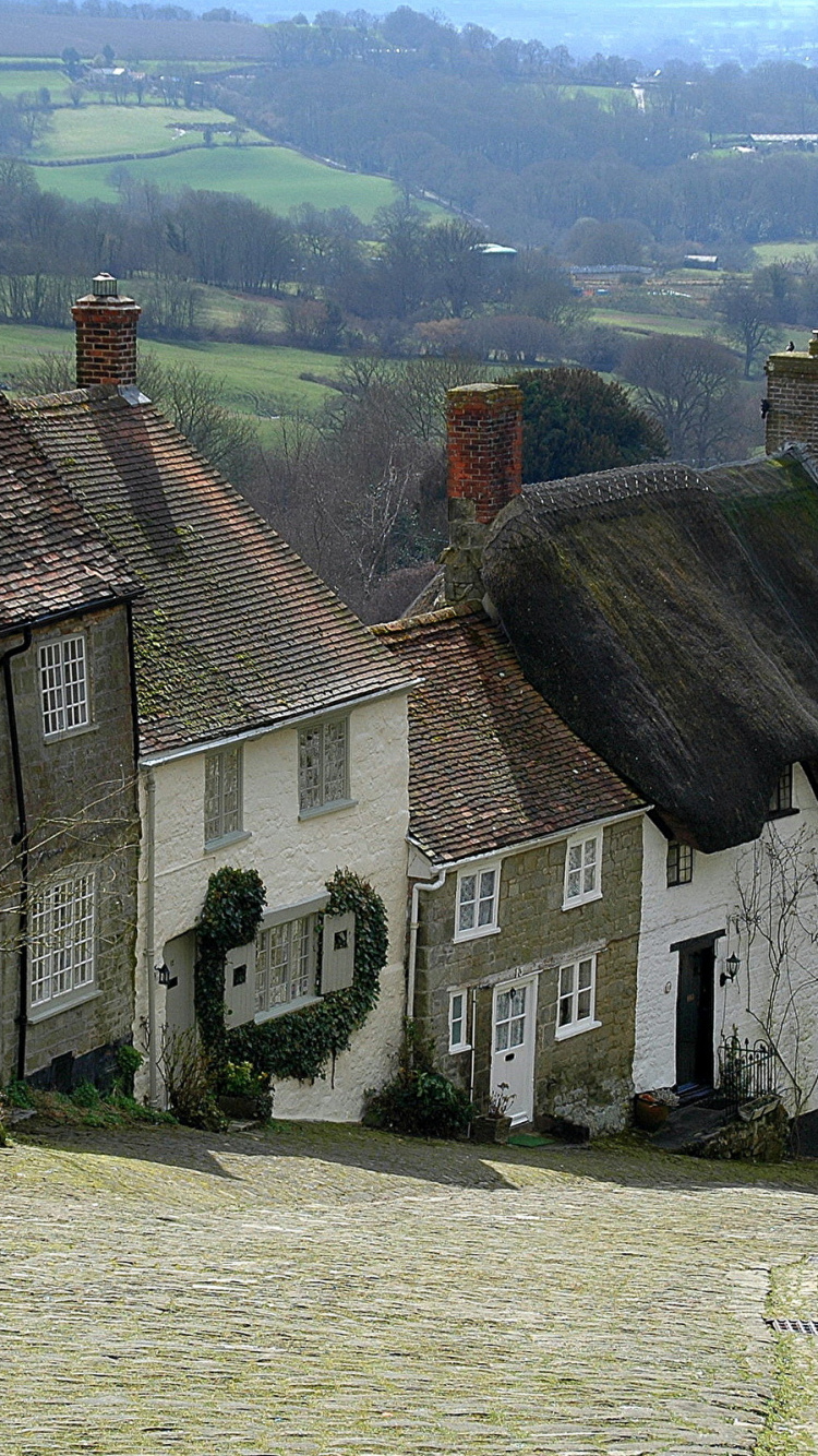 Maisons en Béton Gris Près du Champ D'herbe Verte Pendant la Journée. Wallpaper in 750x1334 Resolution