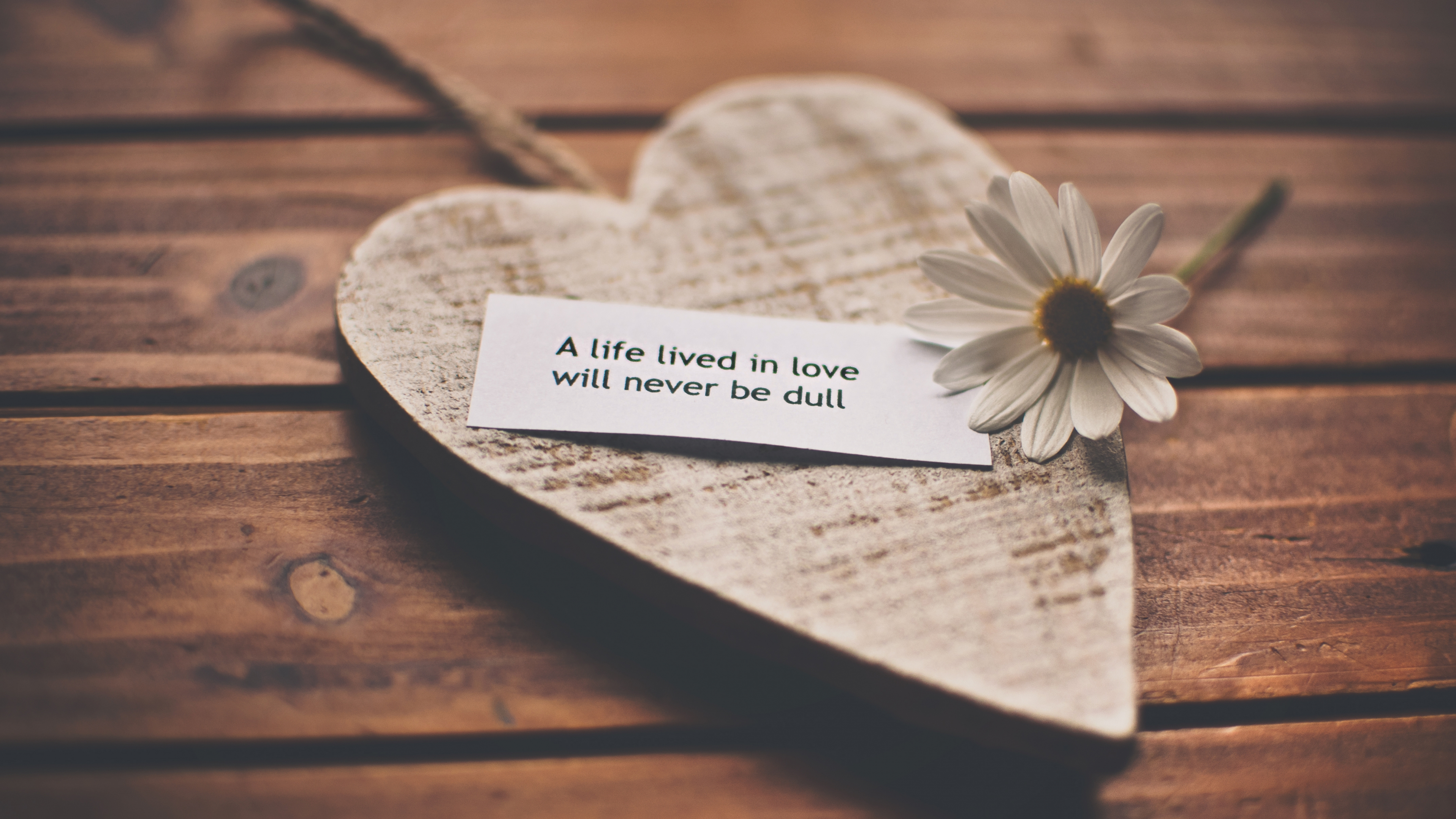 Cœur, Pétale, Amour, Dans Les Relations Interpersonnelles, Amitié. Wallpaper in 3840x2160 Resolution