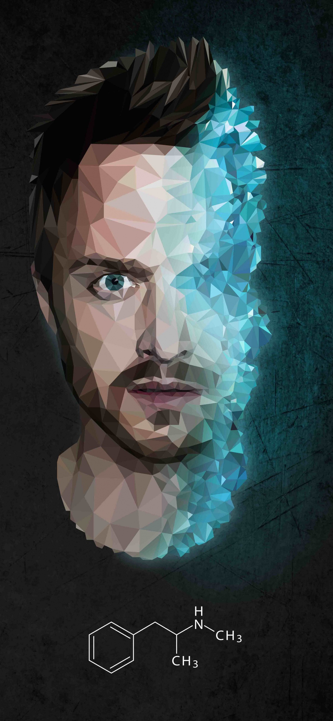 杰西*平克曼, 保罗*亚伦, Breaking Bad, 白沃尔特, 肖像 壁纸 1125x2436 允许